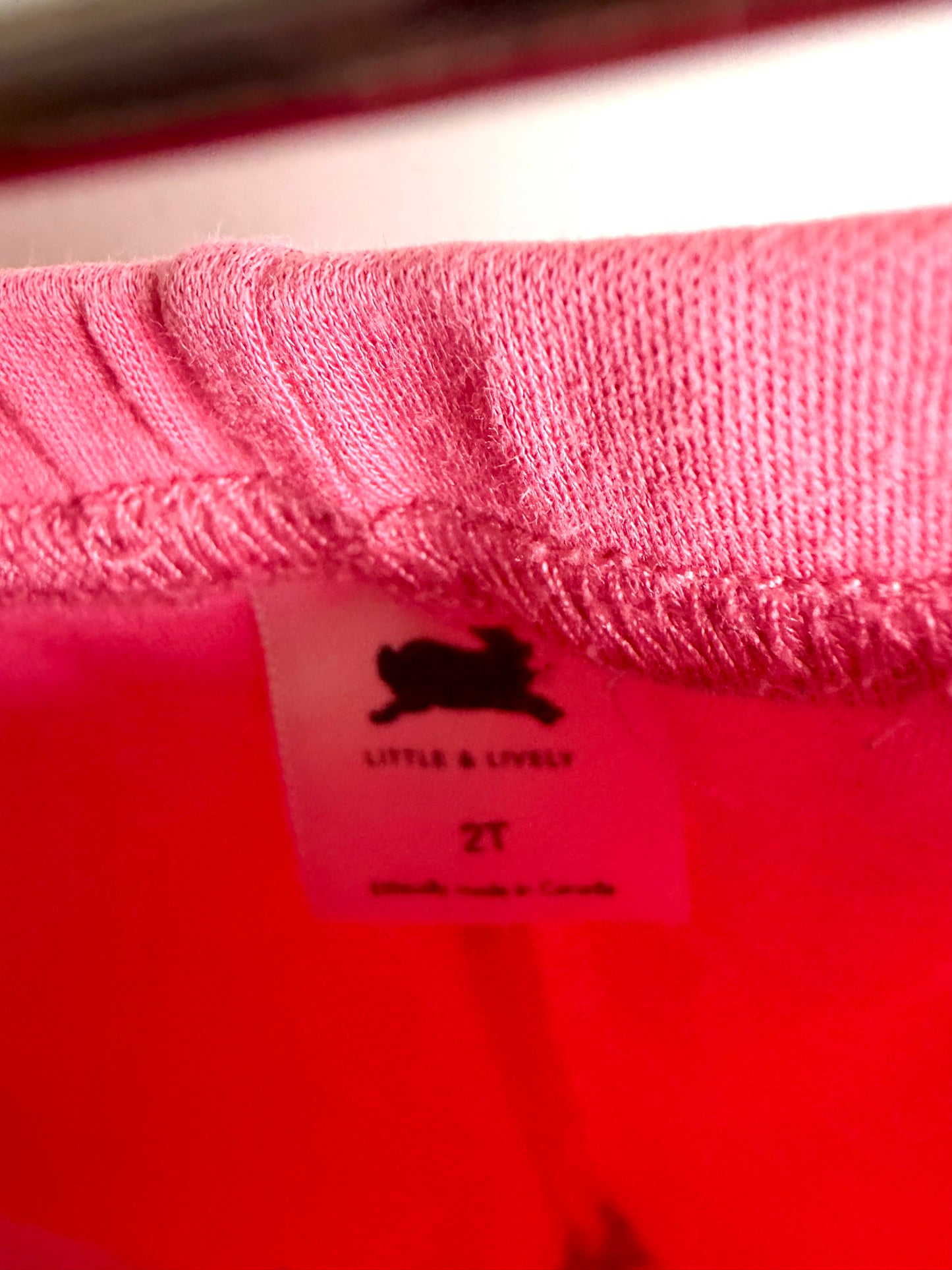 Little & Lively Pink Leggings (PLAY) / 2T