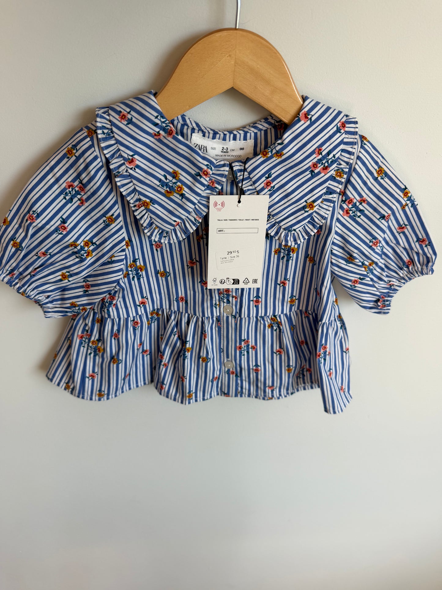 Zara Floral Vertical Stripe Peplum Top (With tags) / 2-3T