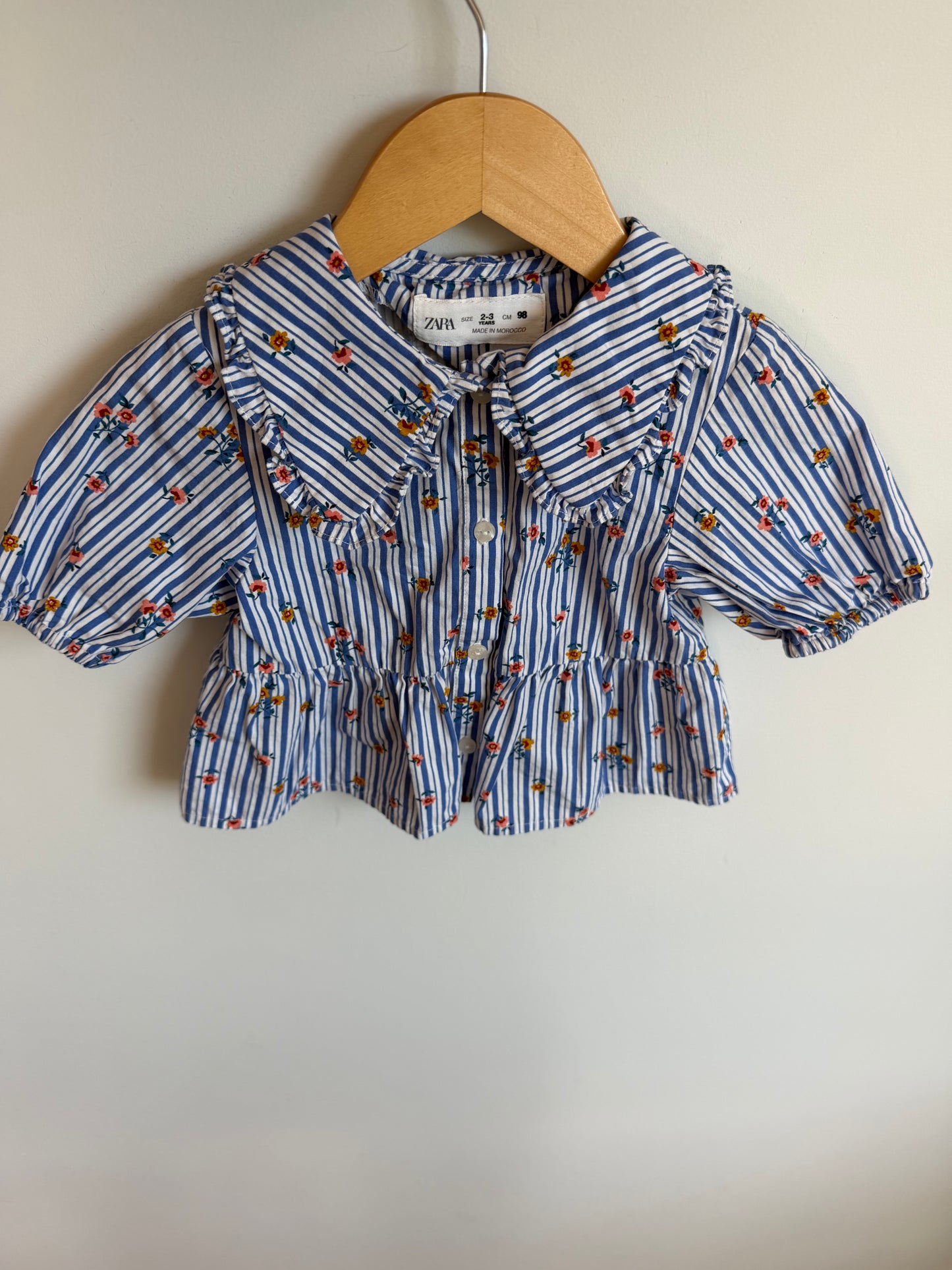 Zara Floral Vertical Stripe Peplum Top / 2-3T