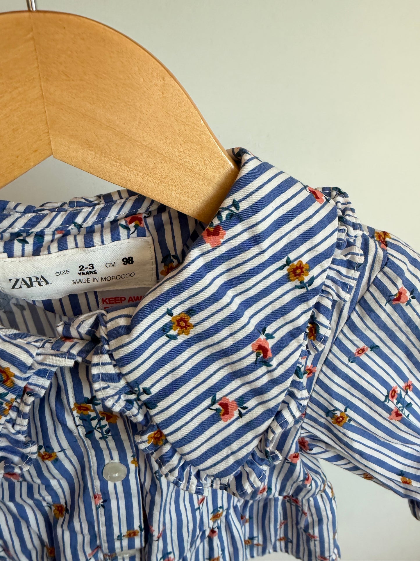 Zara Floral Vertical Stripe Peplum Top / 2-3T