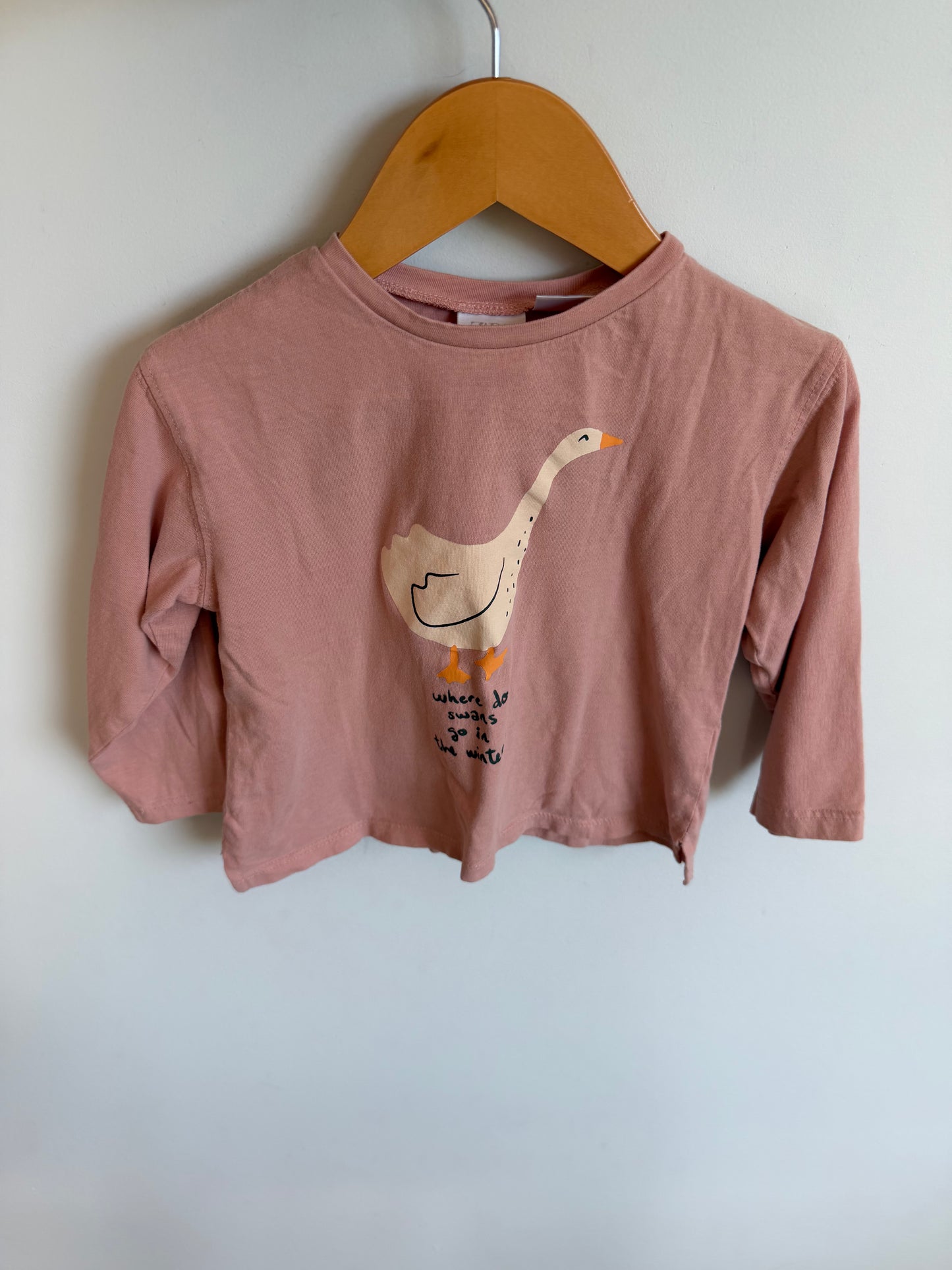 Zara Boxy Swan Long Sleeve / 2-3T