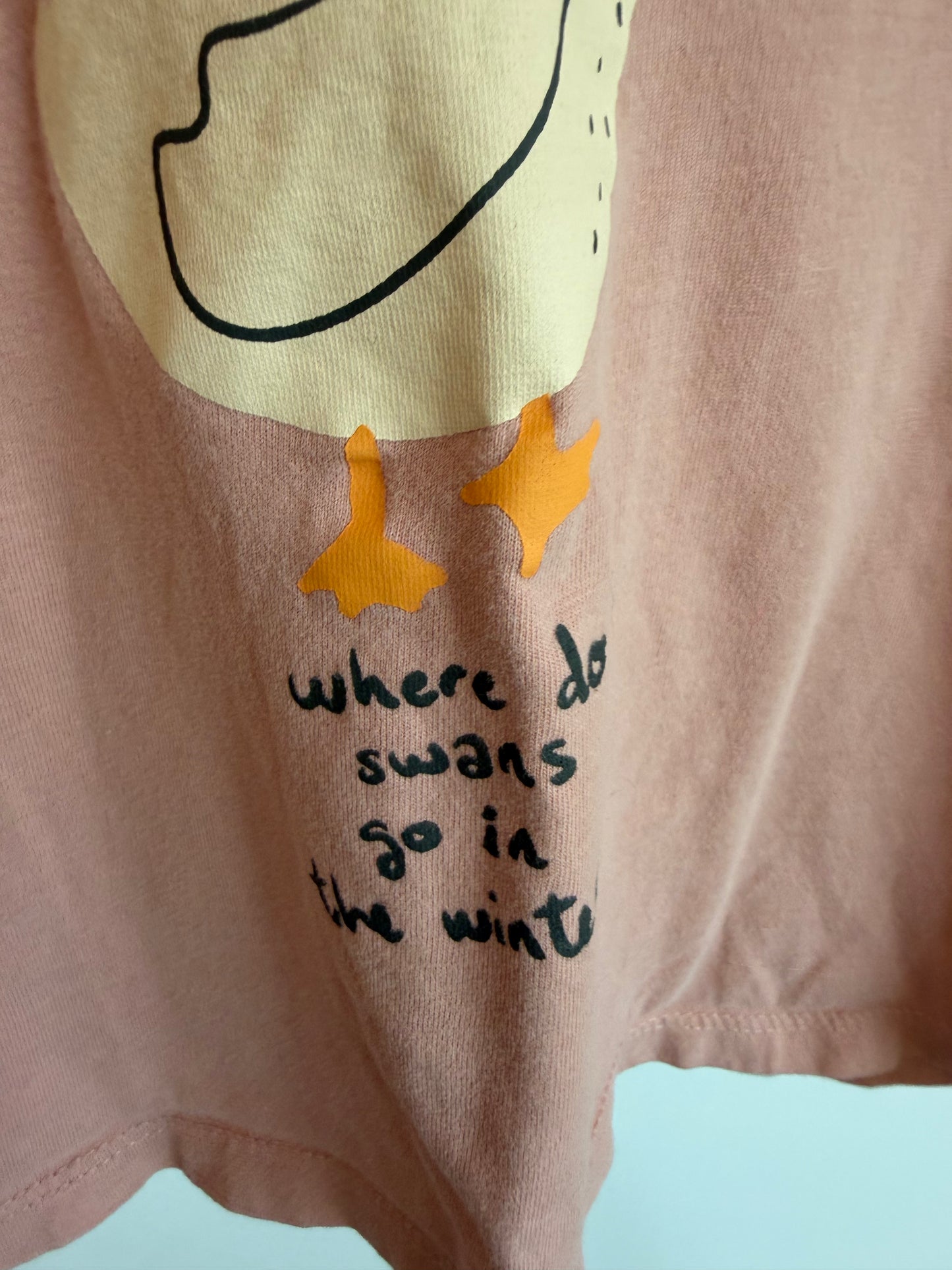 Zara Boxy Swan Long Sleeve / 2-3T