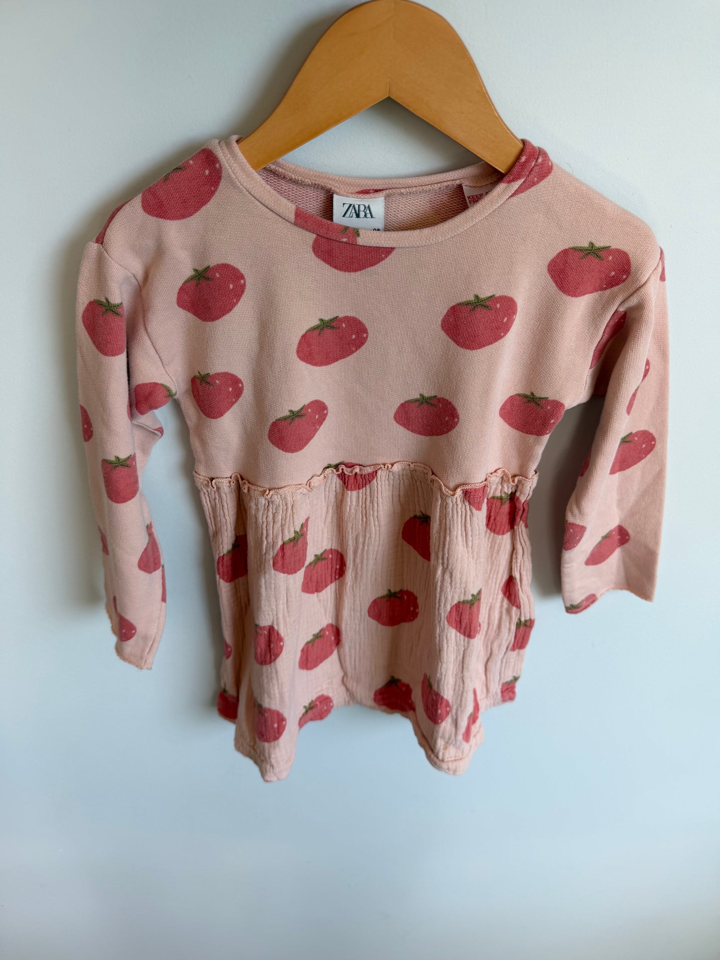 Zara Long Sleeve Tomato Dress / 2-3T