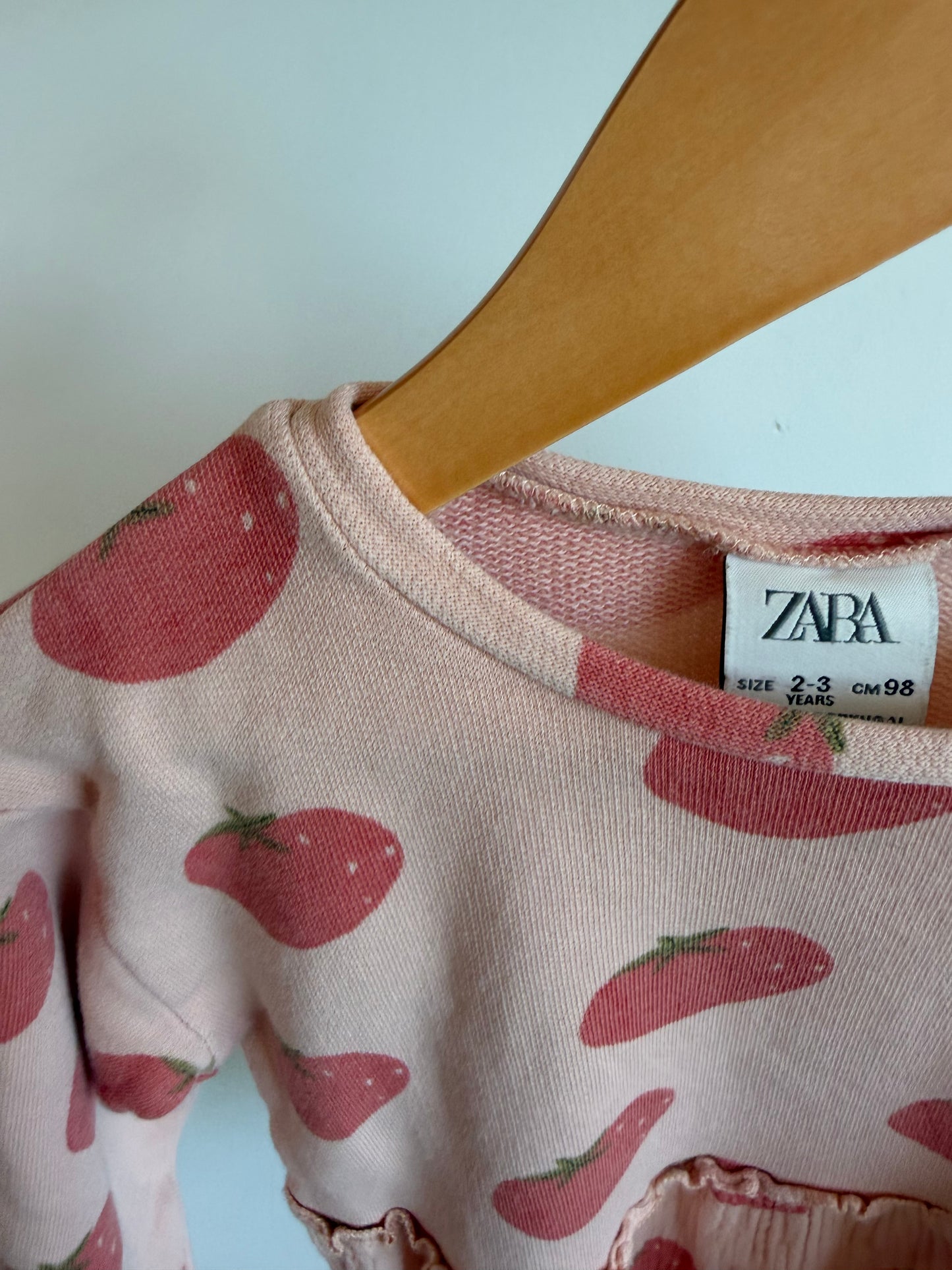 Zara Long Sleeve Tomato Dress / 2-3T