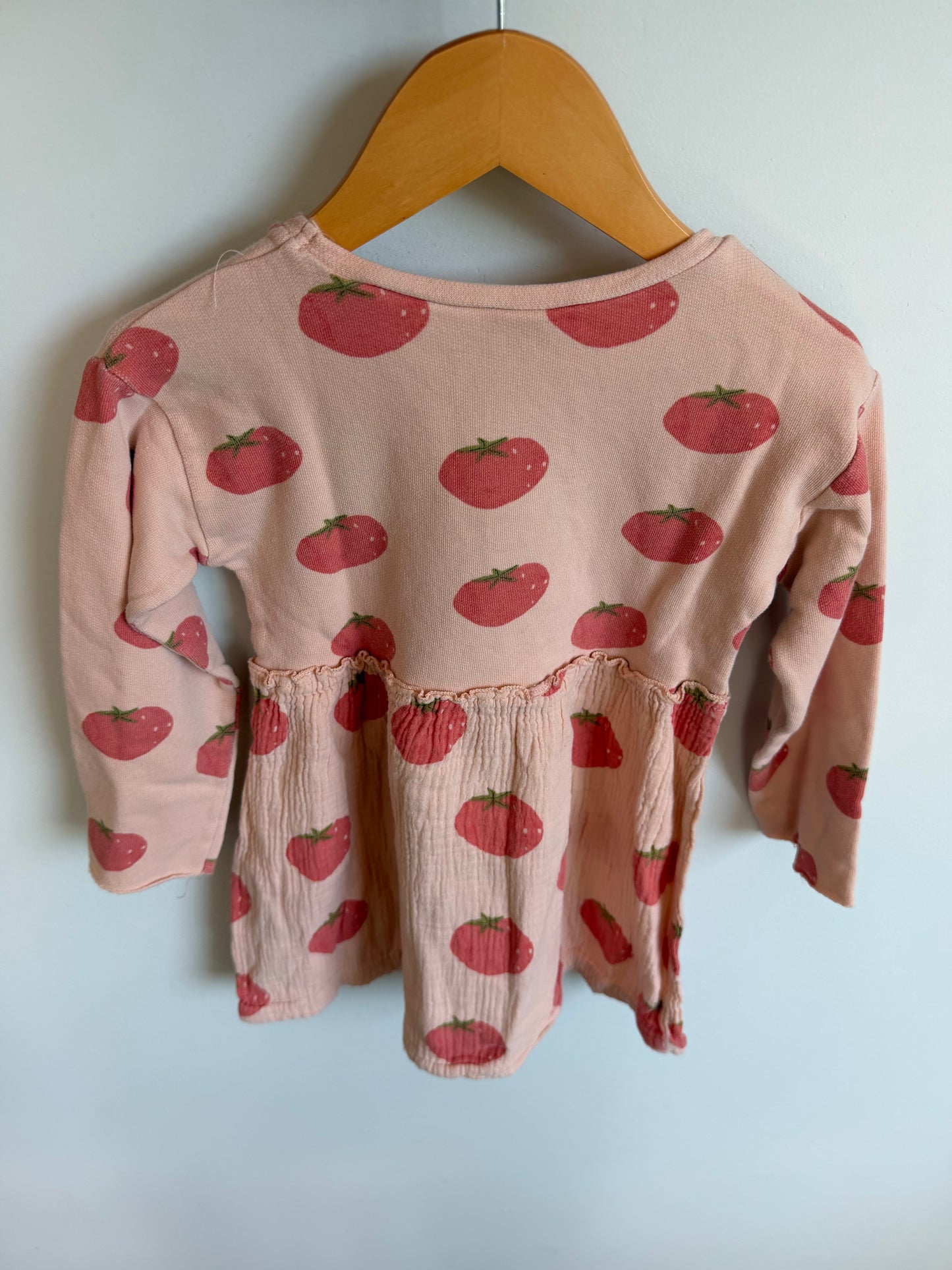 Zara Long Sleeve Tomato Dress / 2-3T
