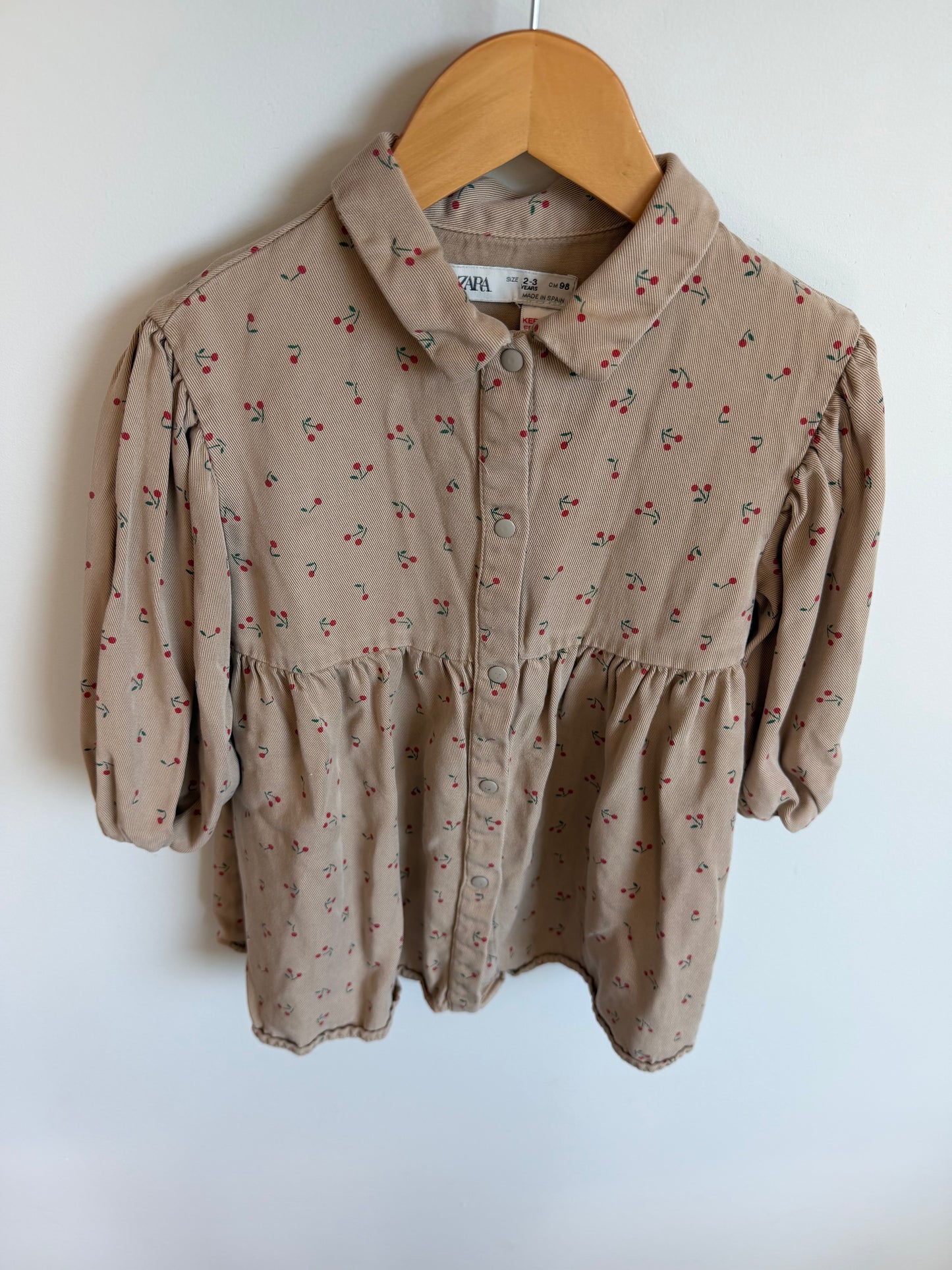 Zara Tan Cherry Long Sleeve Dress / 2-3T