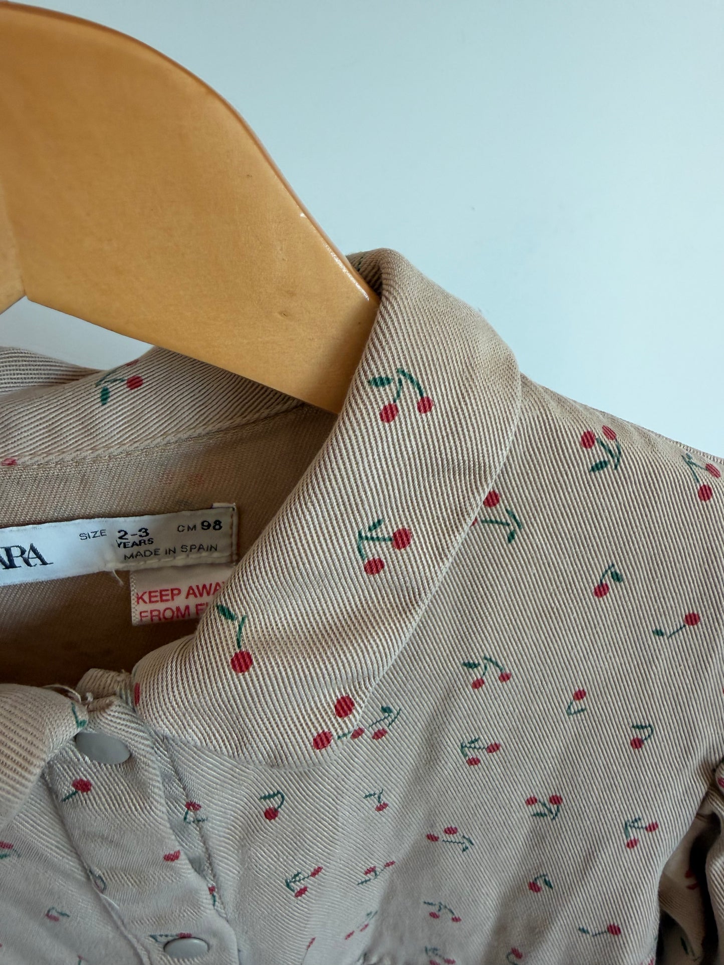 Zara Tan Cherry Long Sleeve Dress / 2-3T