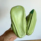 Aligator Soft Sole Shoes / Size 4 Infant