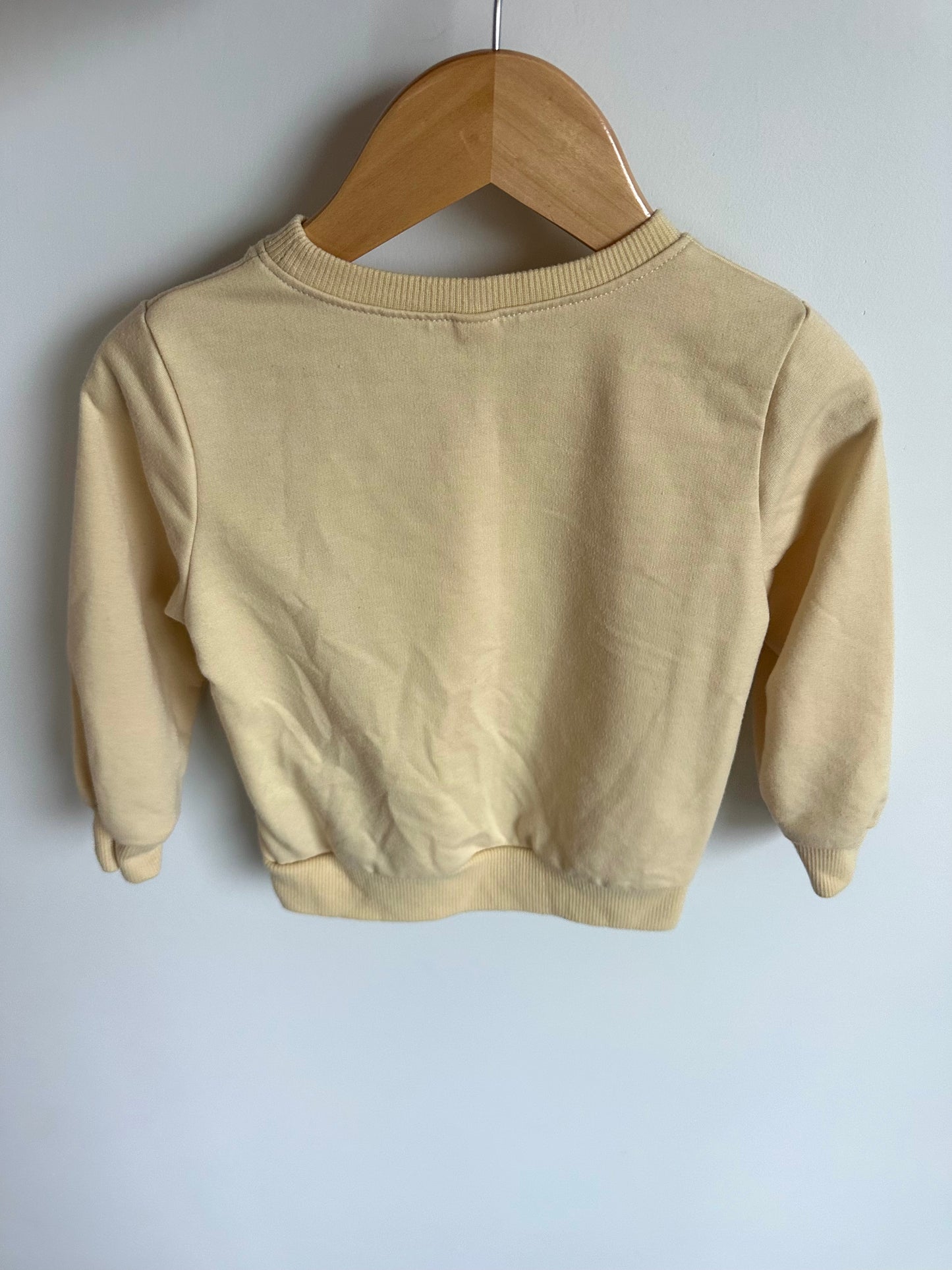 Cute, Smart, And A Bit Dramatic Sweater / 18-24m