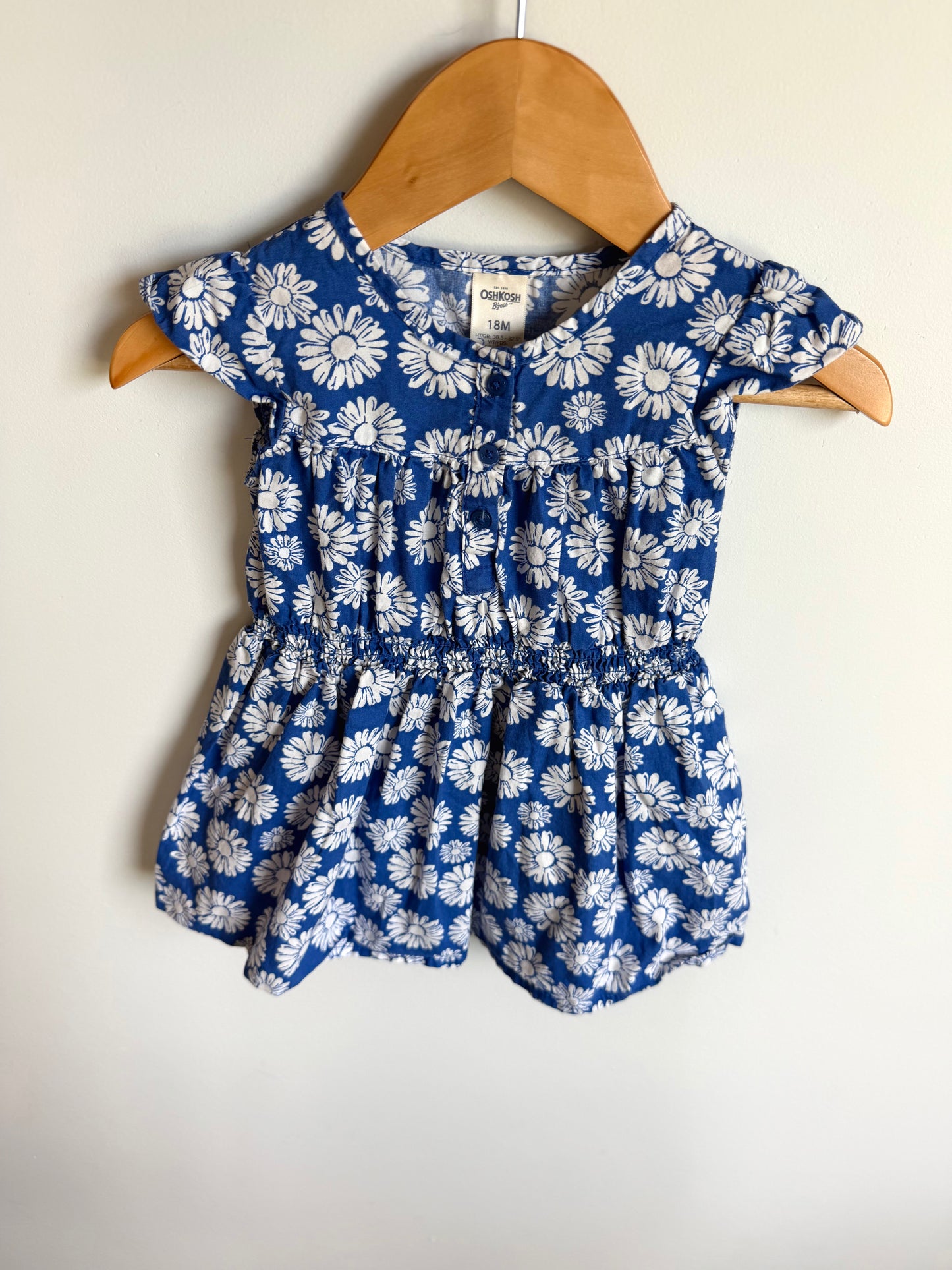White Flower Blue Dress / 18m