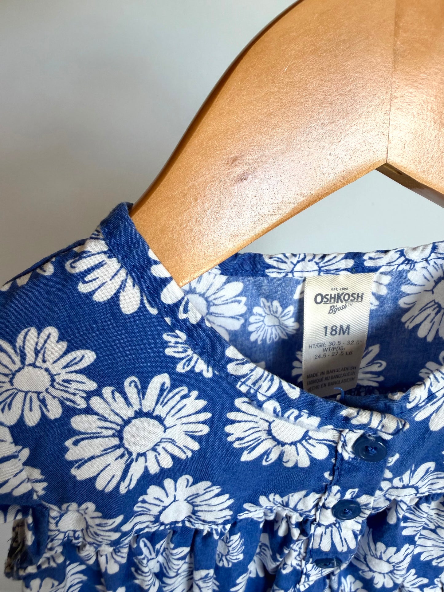 White Flower Blue Dress / 18m