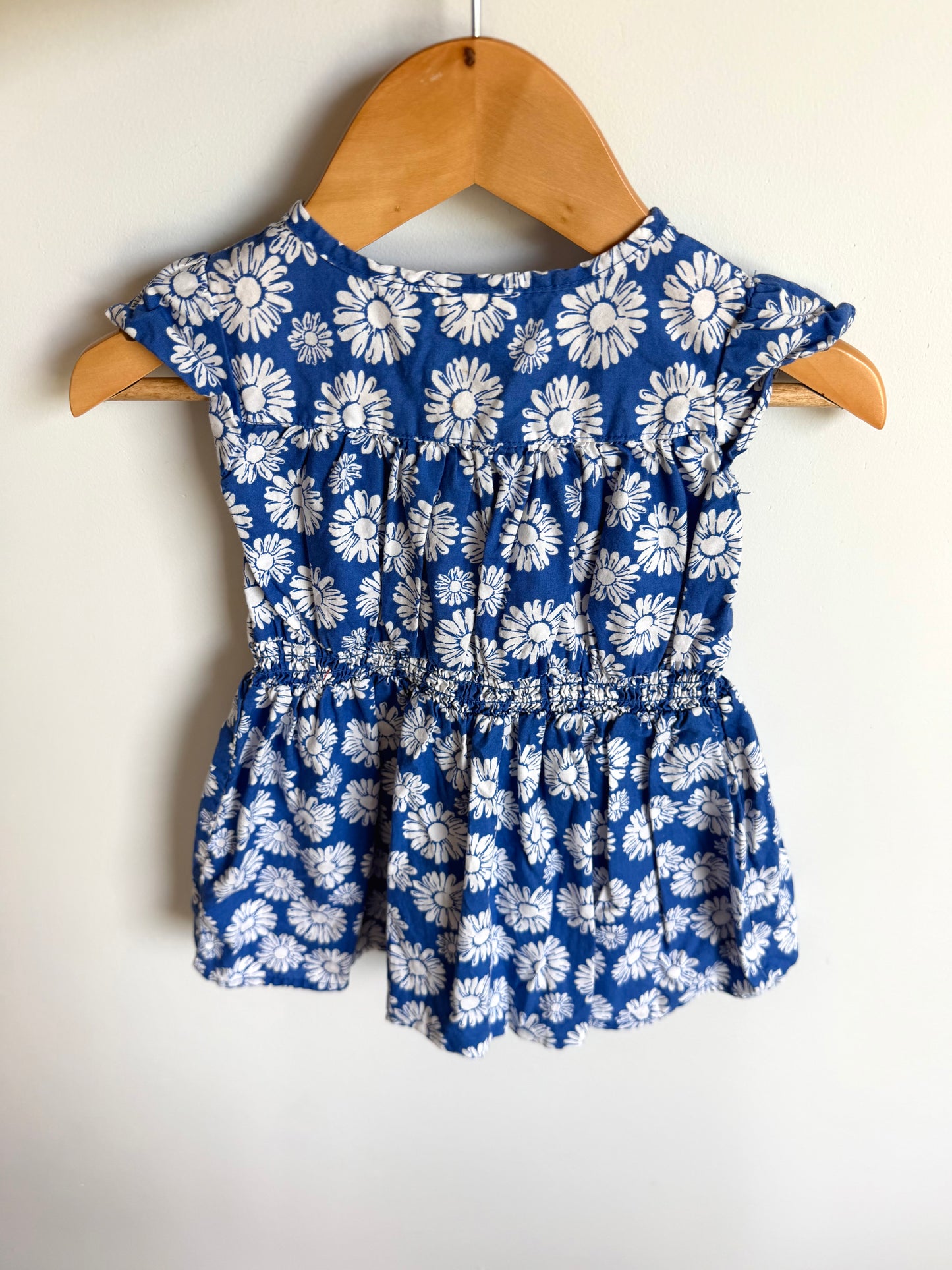 White Flower Blue Dress / 18m