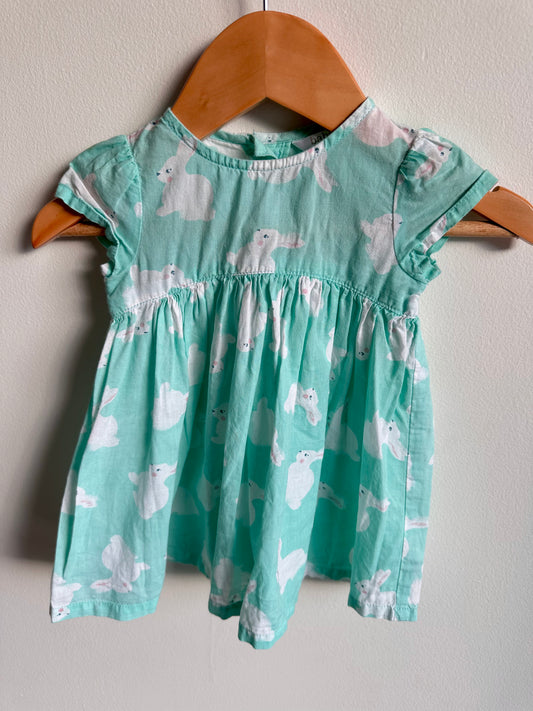 Mint Bunny Dress / 0-3m