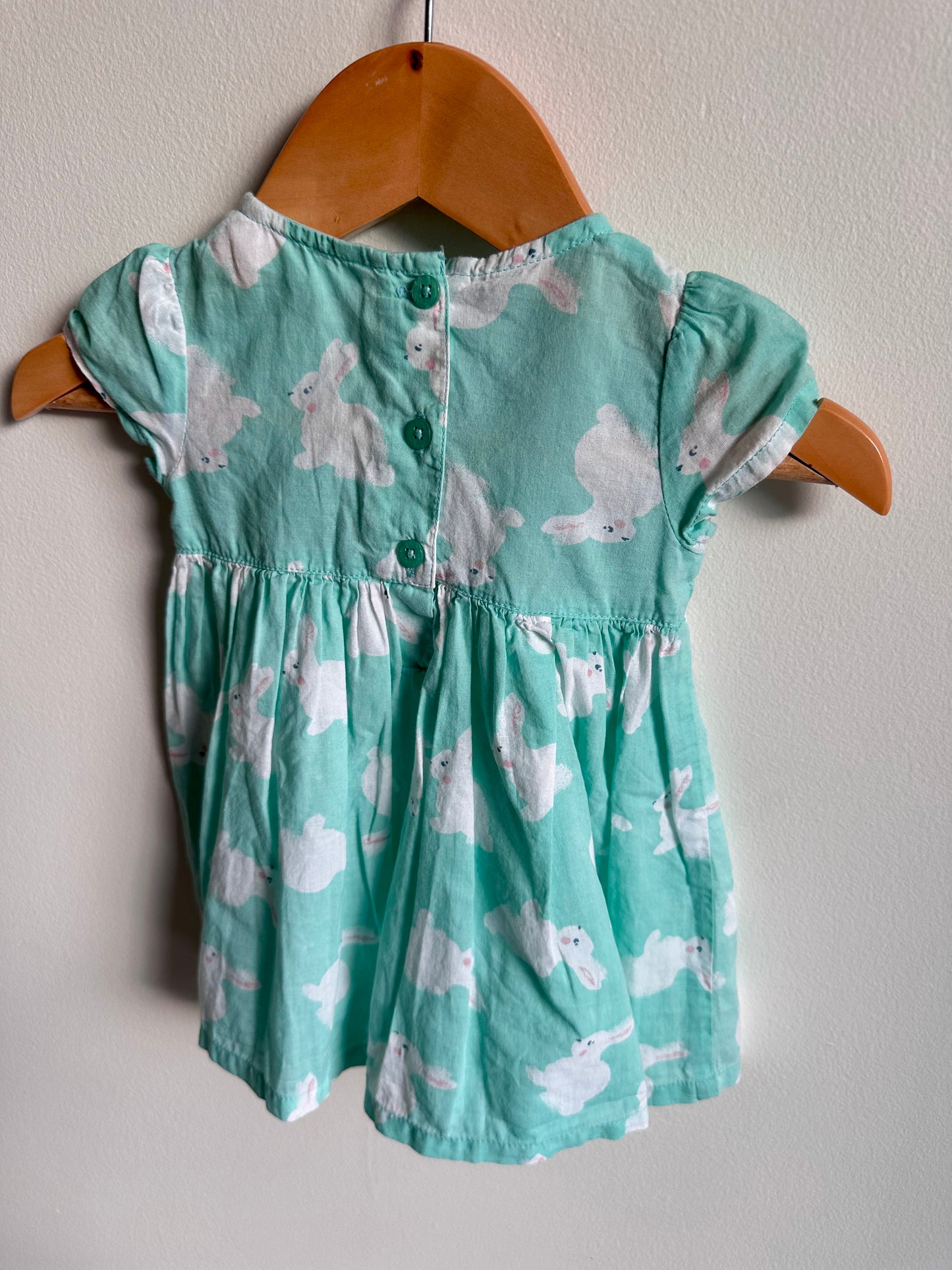 Mint Bunny Dress / 0-3m