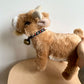 Goat Stuffy
