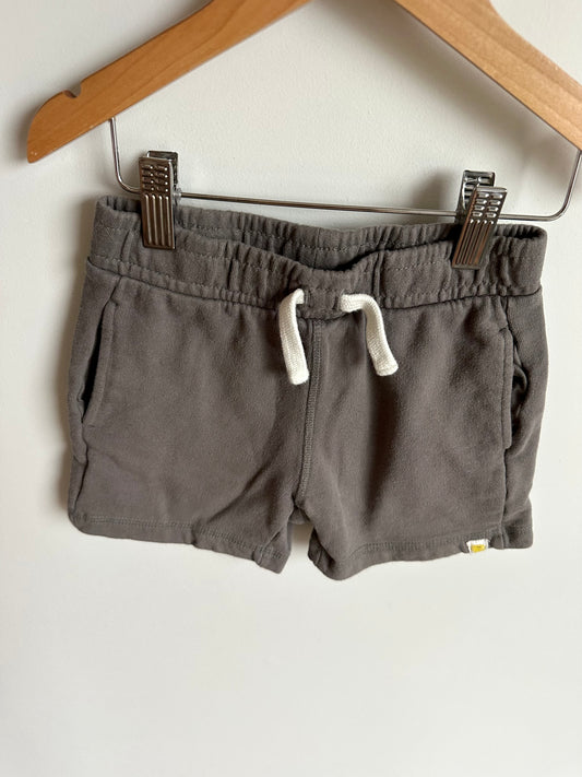 Grey Organic Cotton Shorts / 2-3T