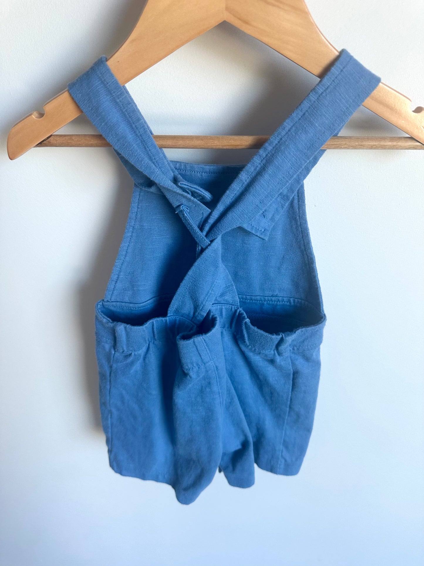 Blue Dino Overalls / 12m