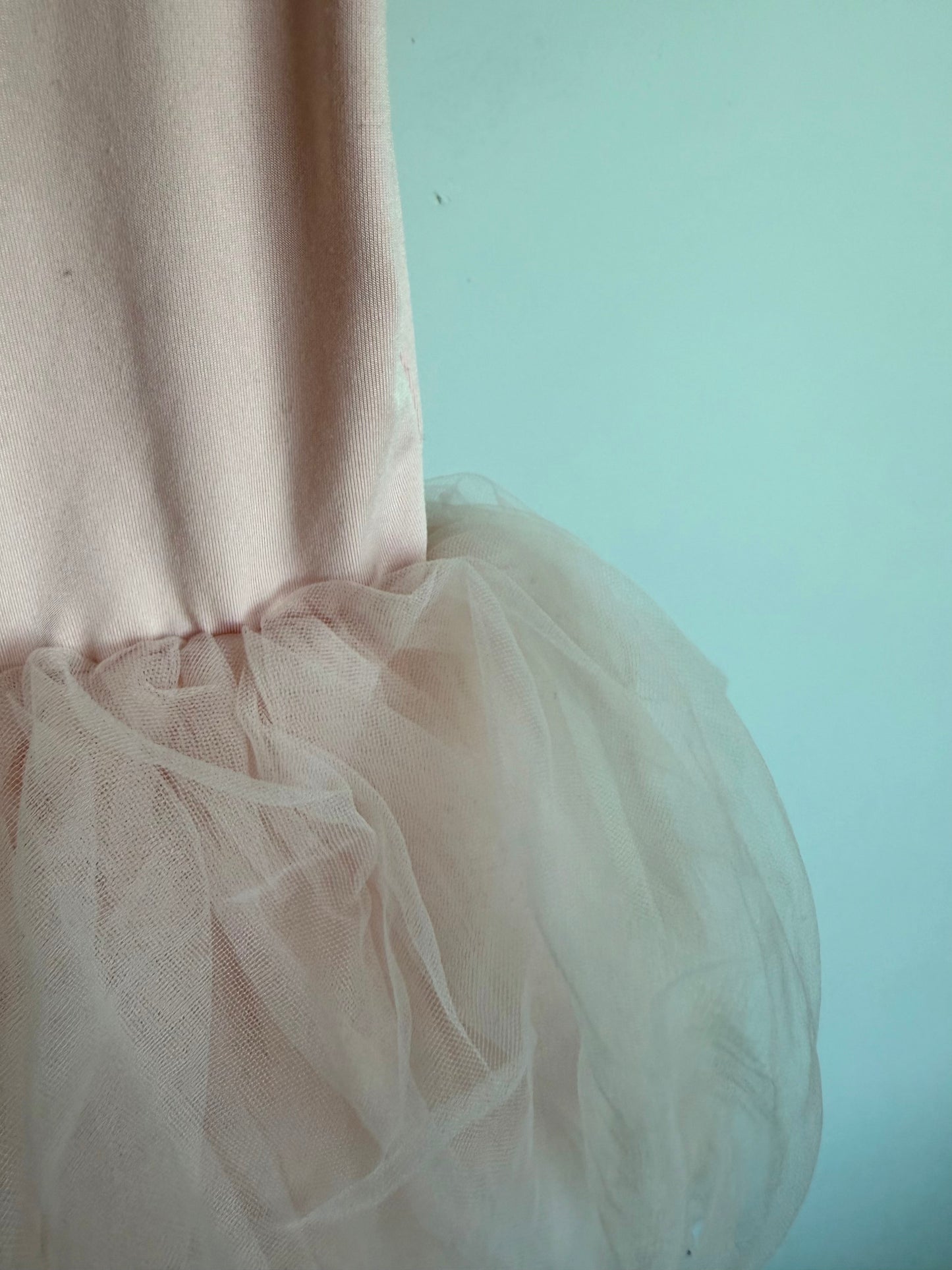 Pink Bodysuit + Tutu / 5T