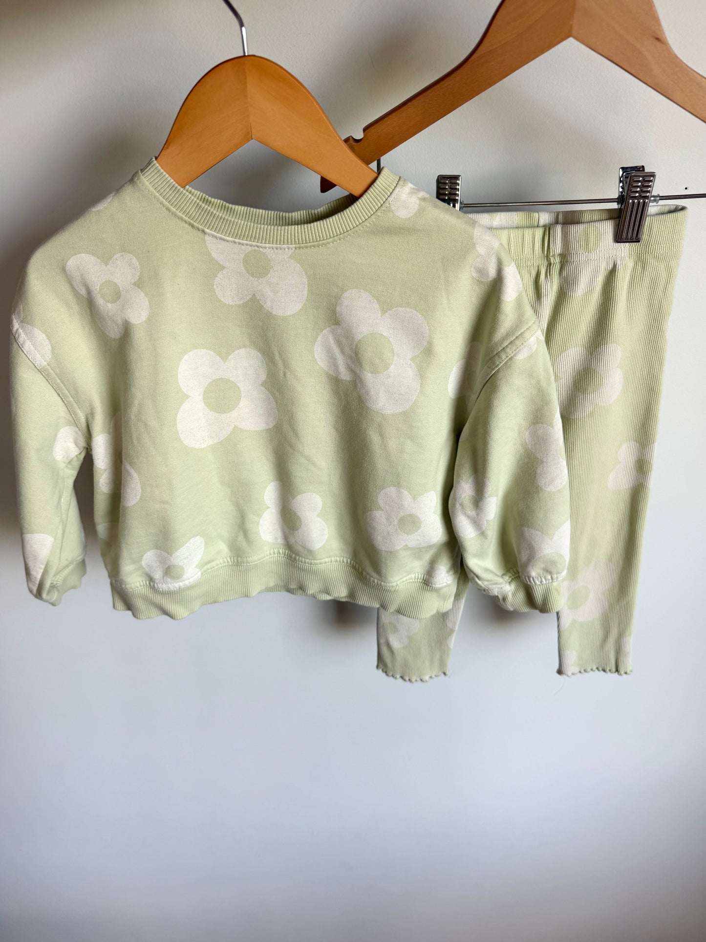 Sage Daisy Crewneck + Leggings Set / 3T