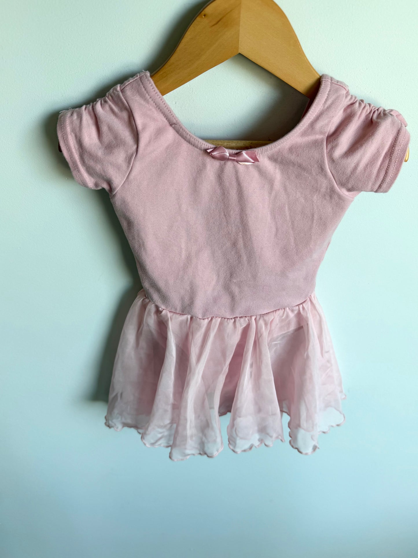 Pink Bodysuit + Tutu / 3T