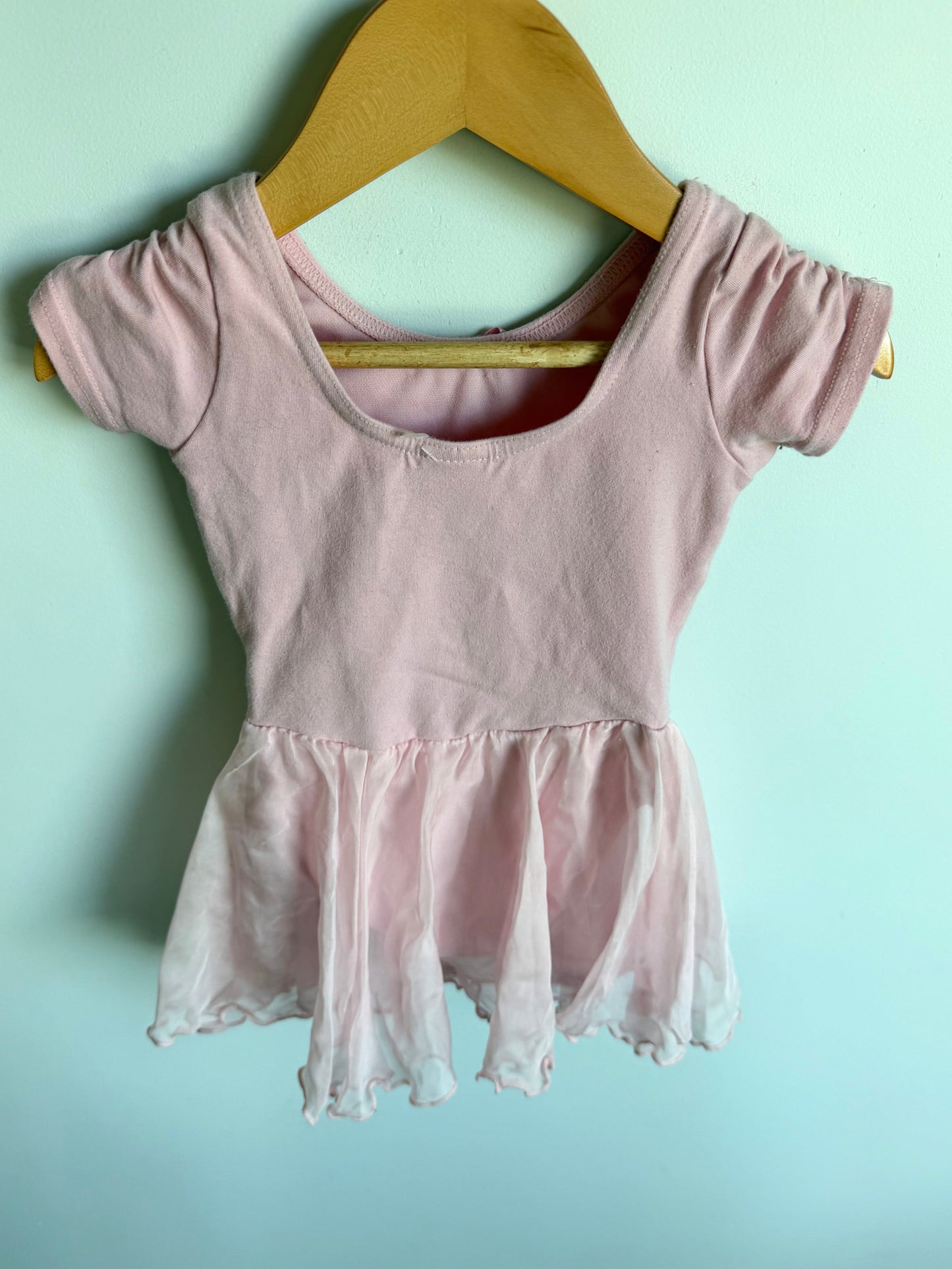 Pink Bodysuit + Tutu / 3T