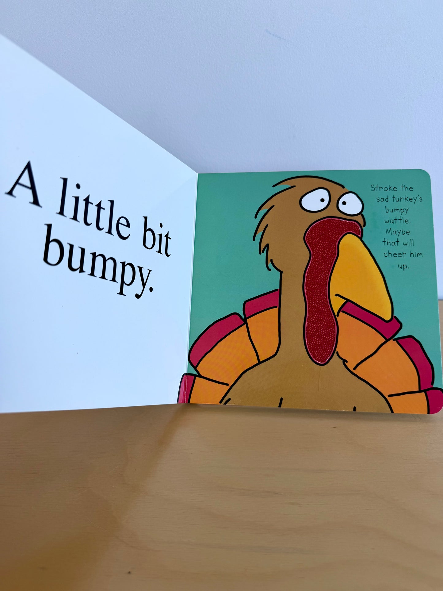 Fuzzy Fuzzy Fuzzy Board Book / 0-2 years