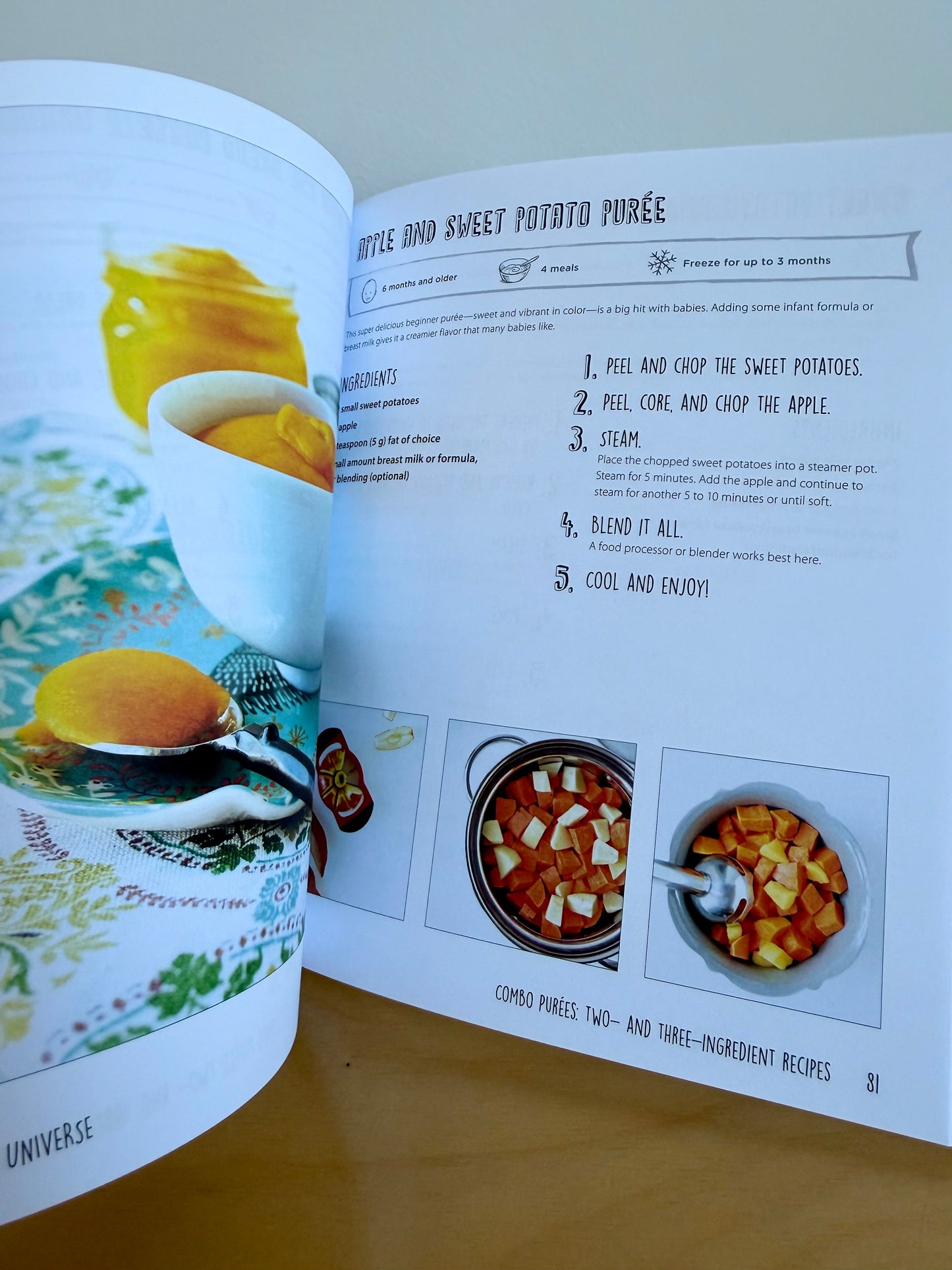 Baby Food Universe Book