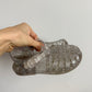 Sparkly Jelly Sandals / Size 10 Toddler