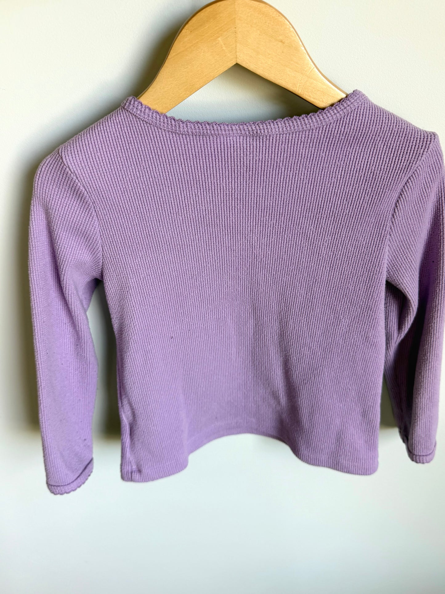 Thick Ribbed Purple Long Sleeve / 4-5T