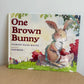 One Brown Bunny Hardcover Book (No Shipping) / 0-4 years