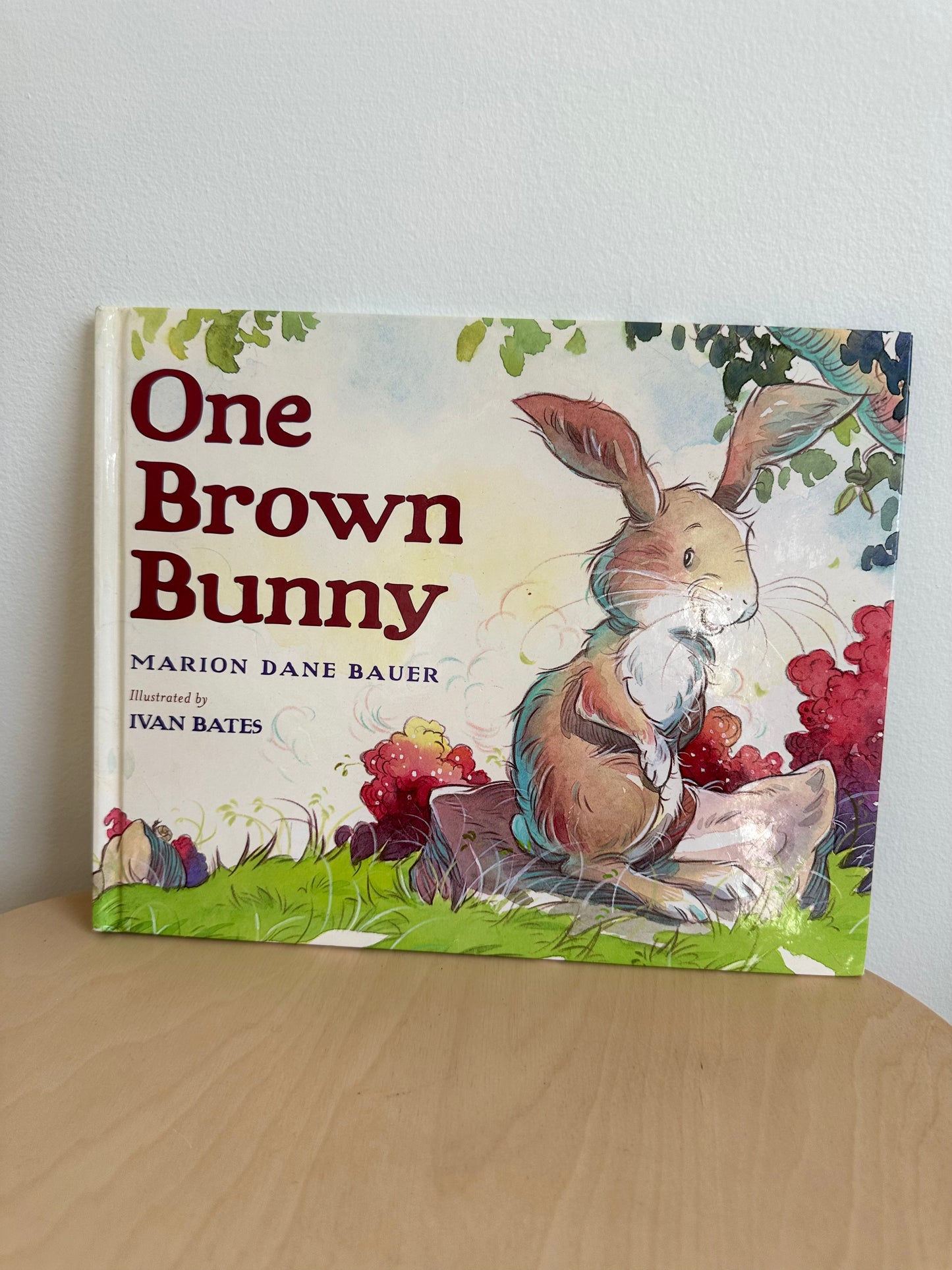 One Brown Bunny Hardcover Book (No Shipping) / 0-4 years