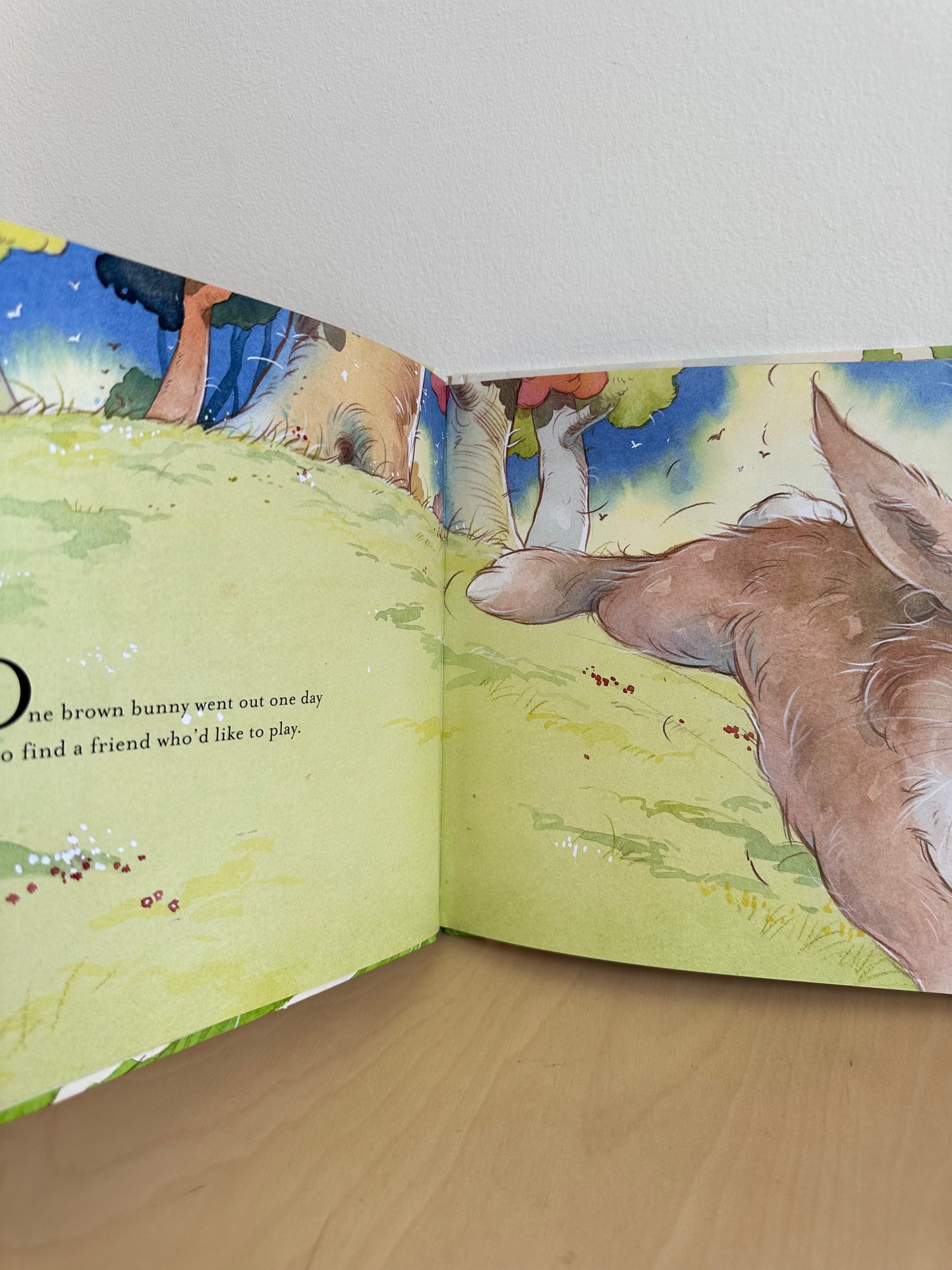 One Brown Bunny Hardcover Book (No Shipping) / 0-4 years