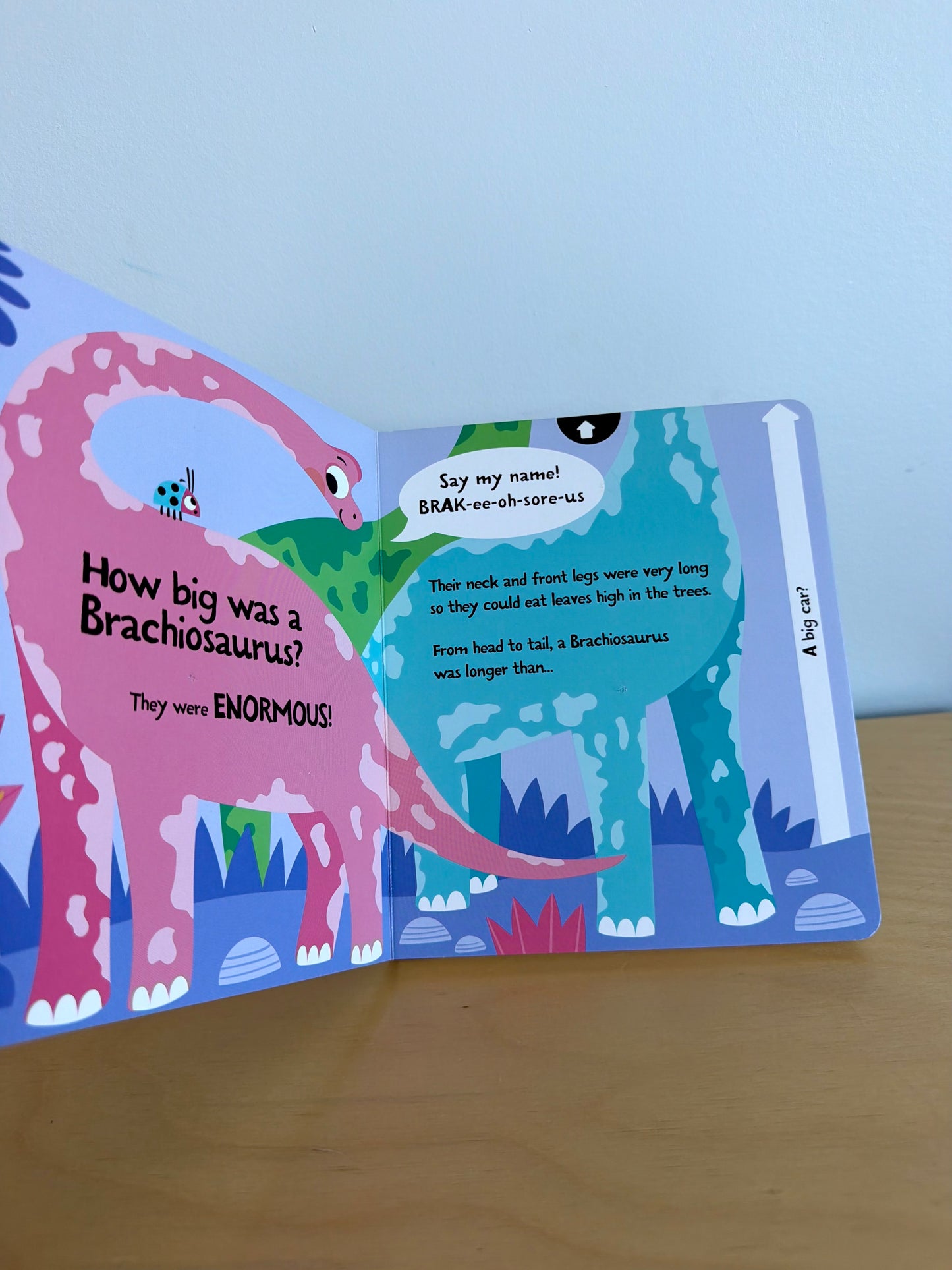 How Toothy Is A T.Rex Pull Out Book / 0-5 years