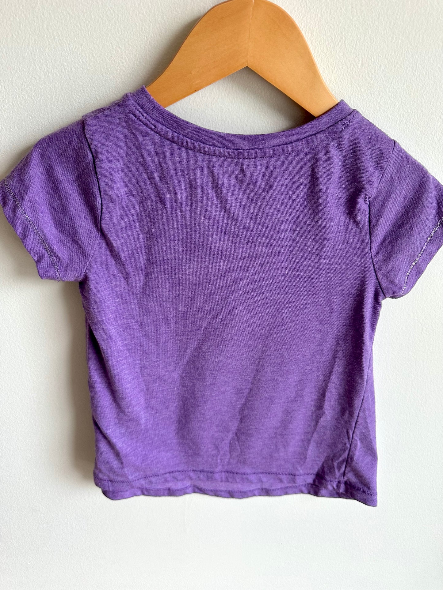 Purple with Sparkle Sleeve Details T-Shirt / 4T