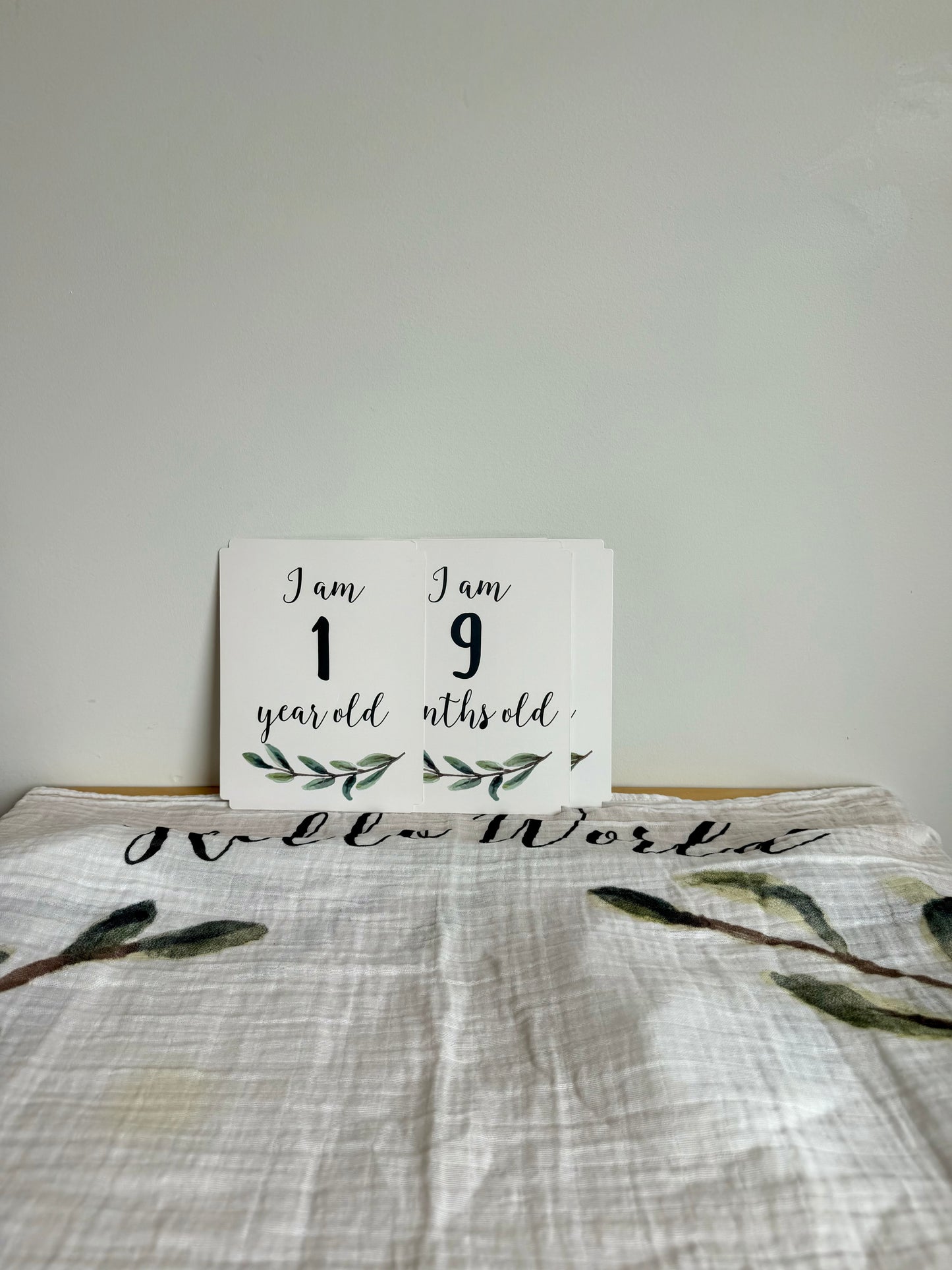 Hello World Photo Blanket and Milestone Cards (PLAY) / No Shipping
