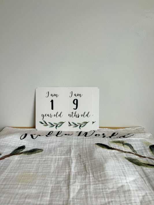 Hello World Photo Blanket and Milestone Cards (PLAY) / No Shipping