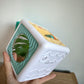 Crinkle Tissue Box (No Shipping)