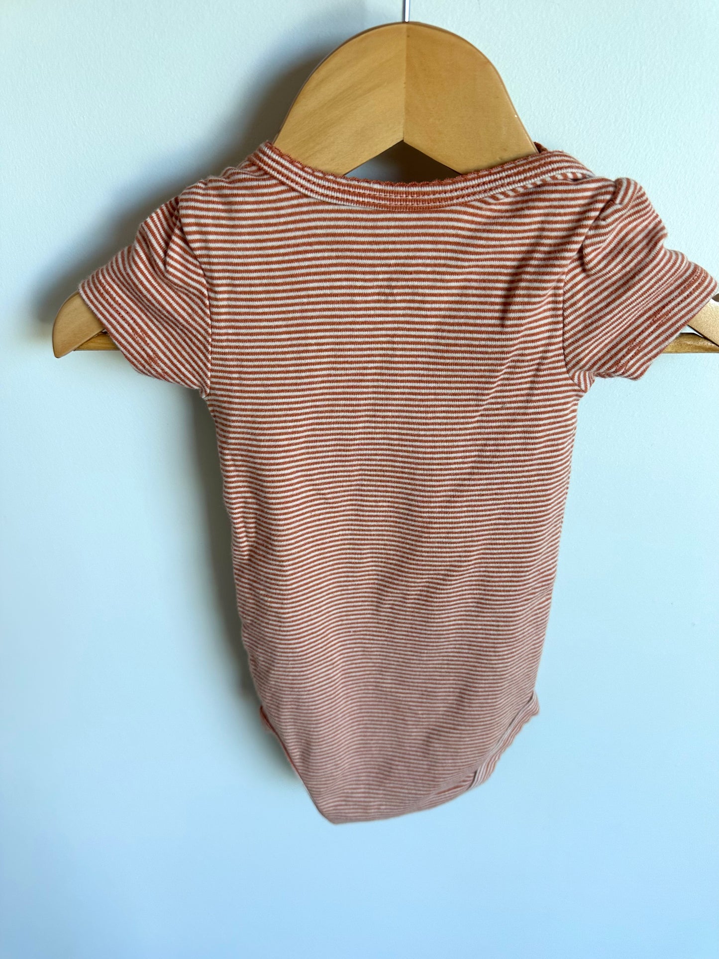 Blush Striped Bodysuit / 9m