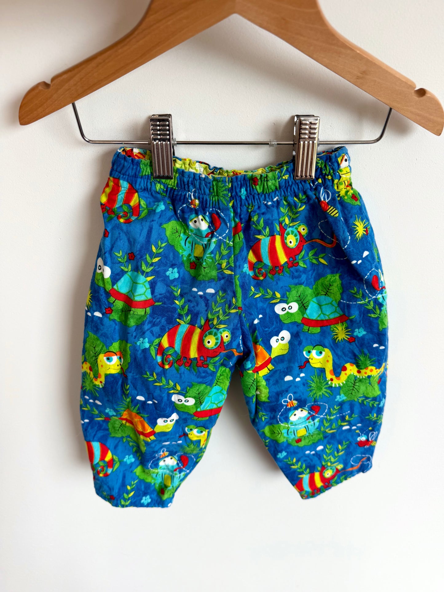 Handmade Turtle Reversible Pants / 6-12m?