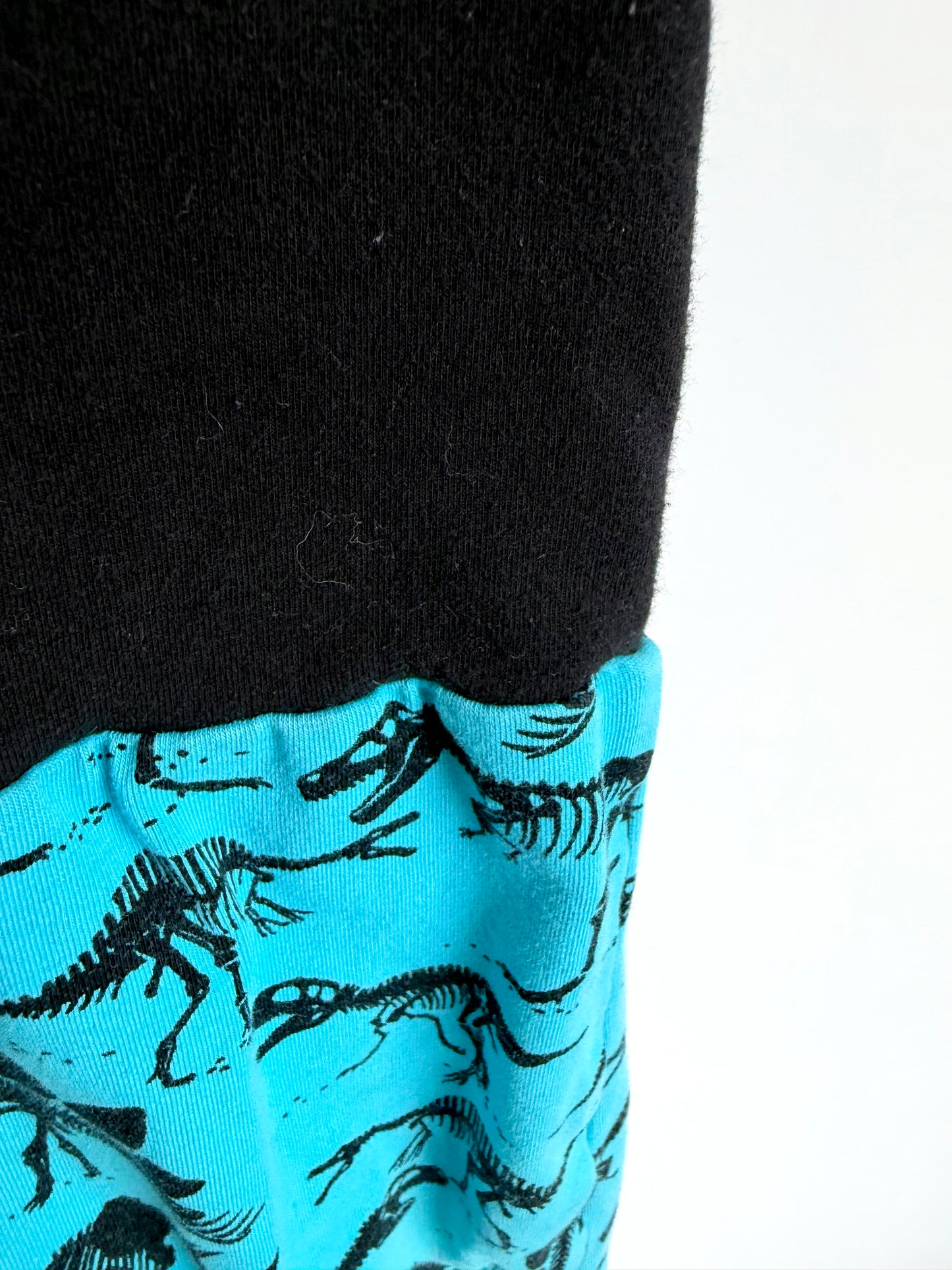 Made in Canada Dino Pants / 3-9m