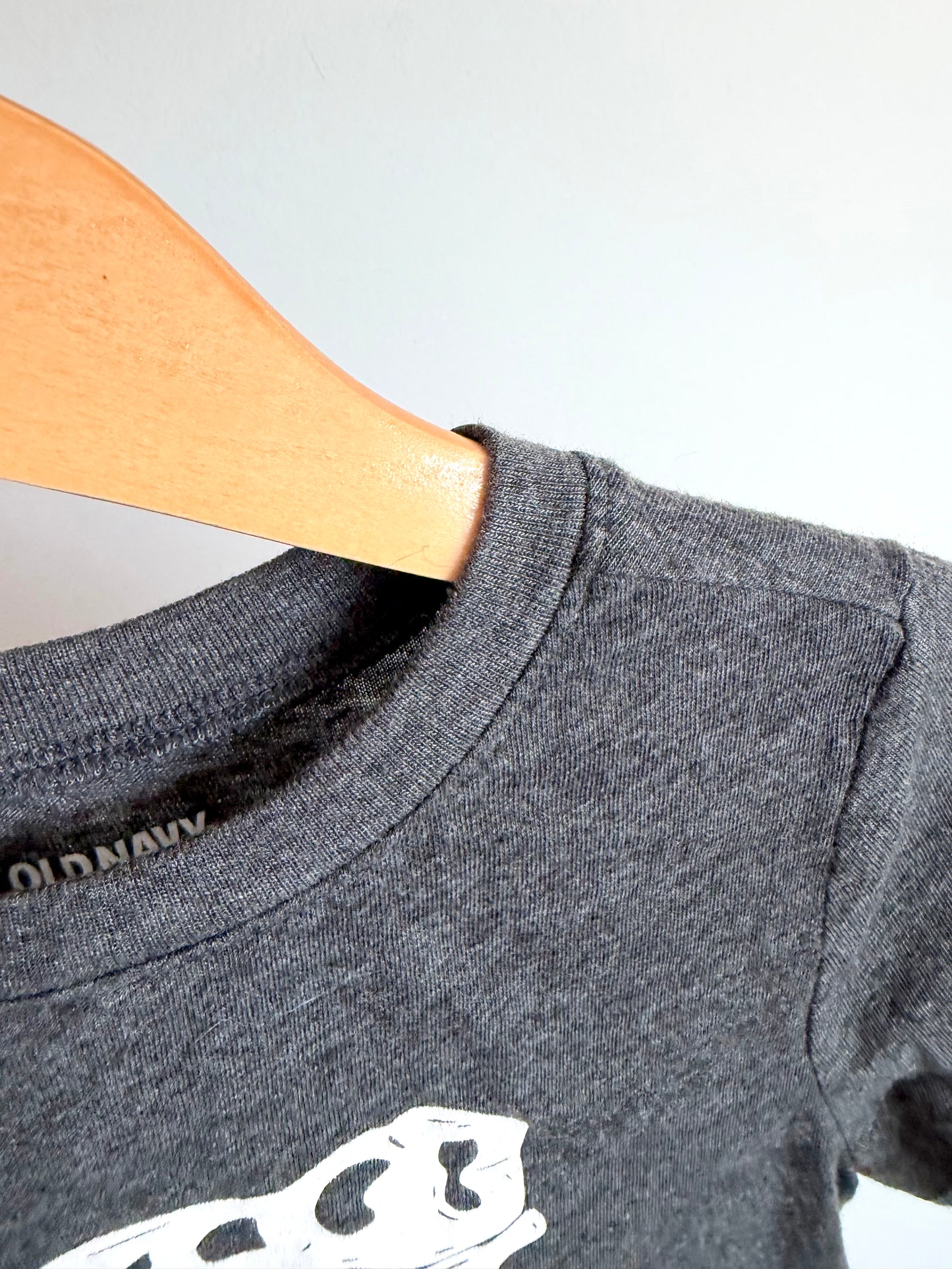 Dino Grey T-Shirt / 4T
