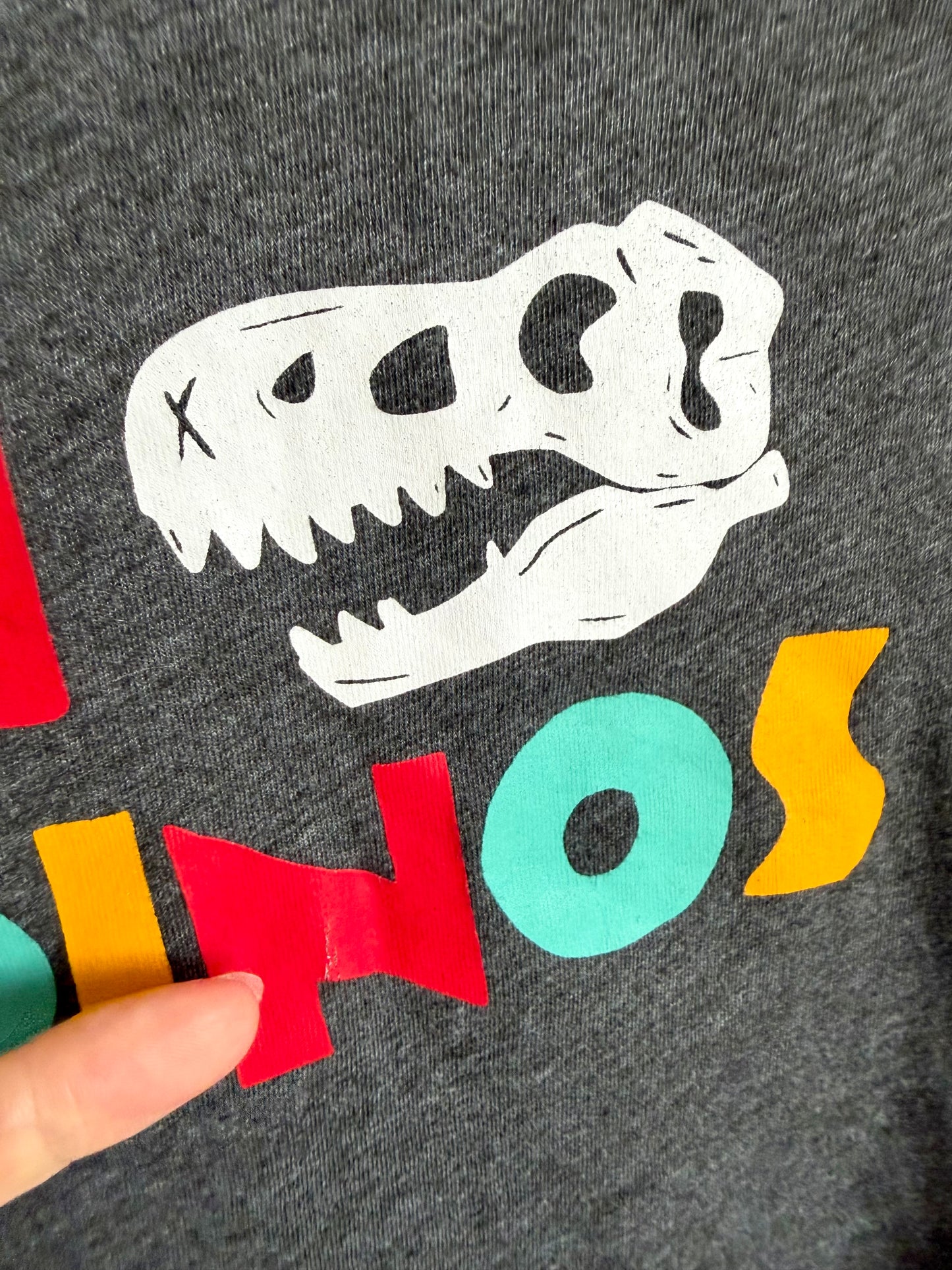 Dino Grey T-Shirt / 4T