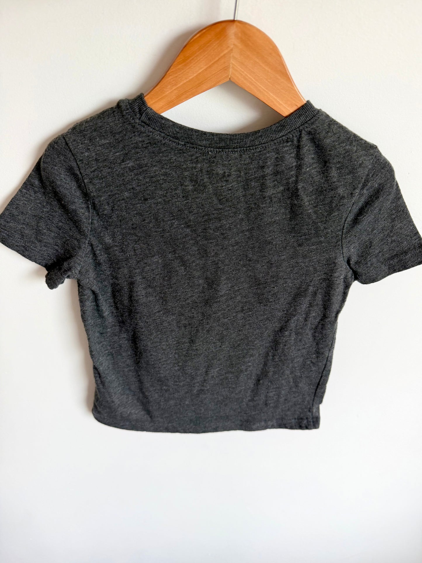 Dino Grey T-Shirt / 4T