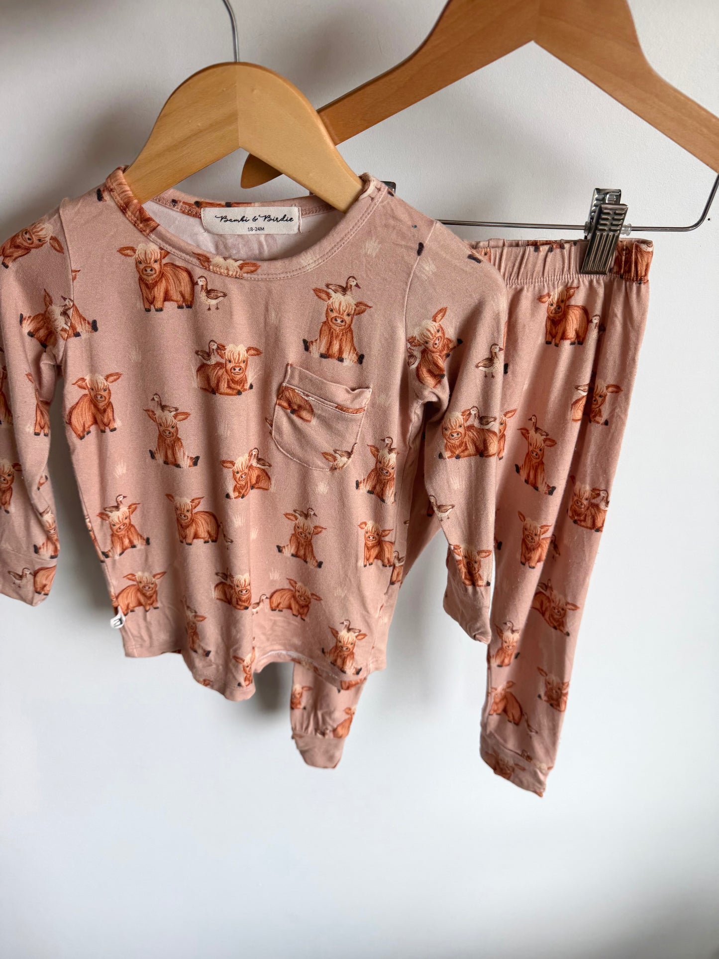 Bambi & Birdie Bamboo Highland Cow PJ Set / 18-24m
