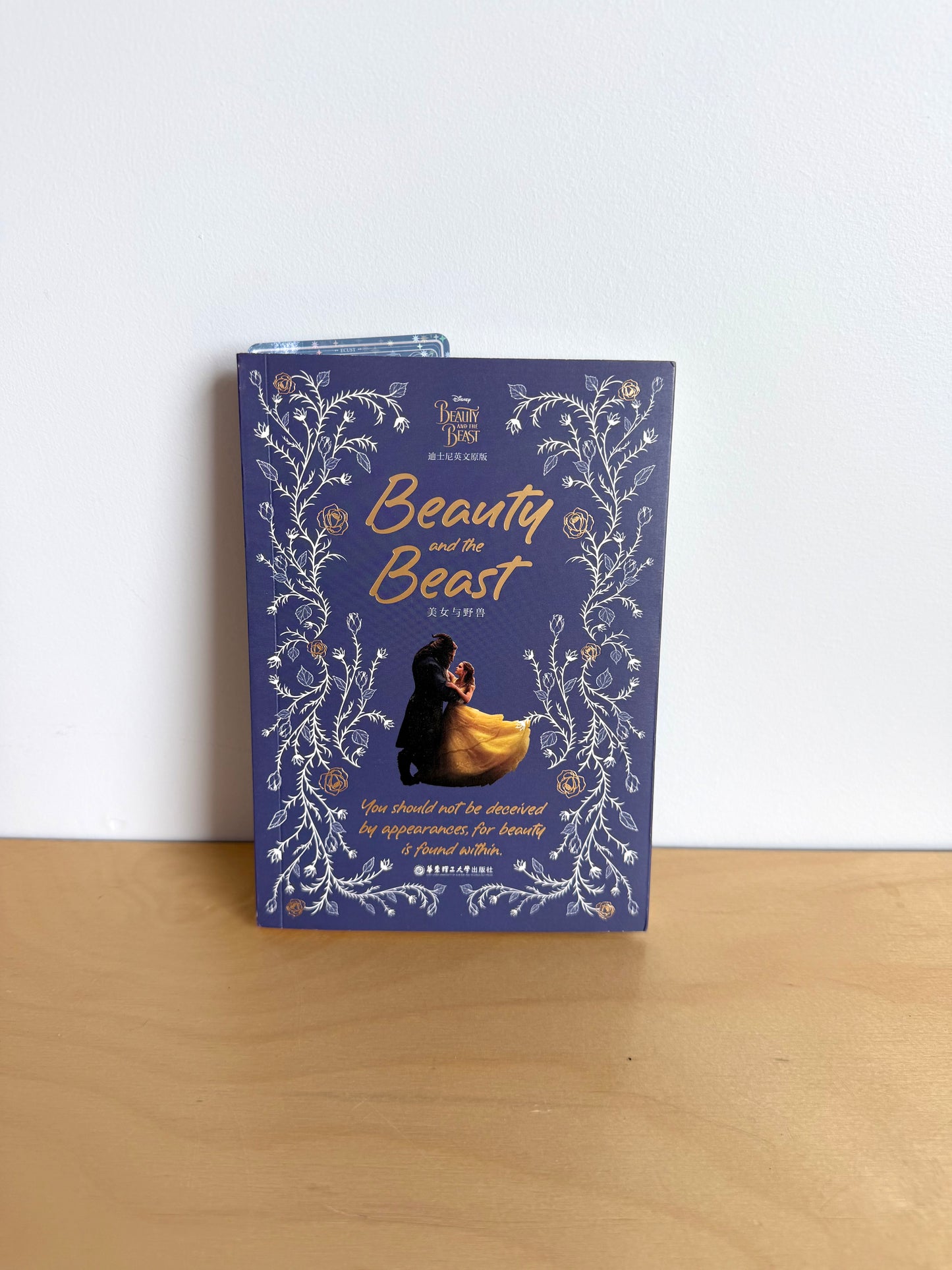 Beauty and the Beast Book / 8+ years