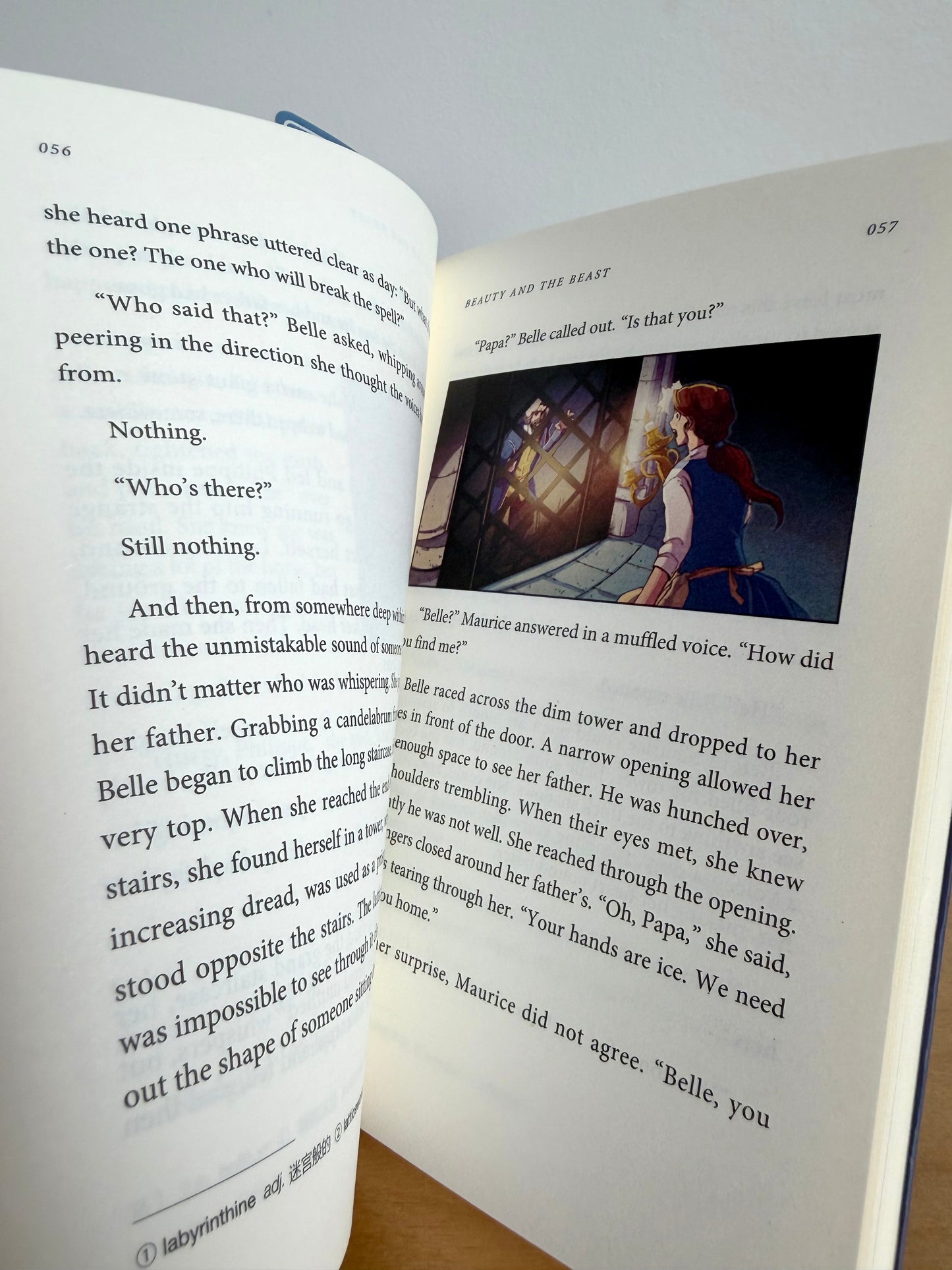 Beauty and the Beast Book / 8+ years