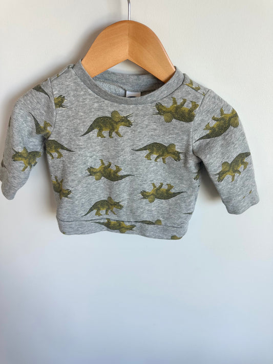 Grey Dino Crewneck / 3-6m