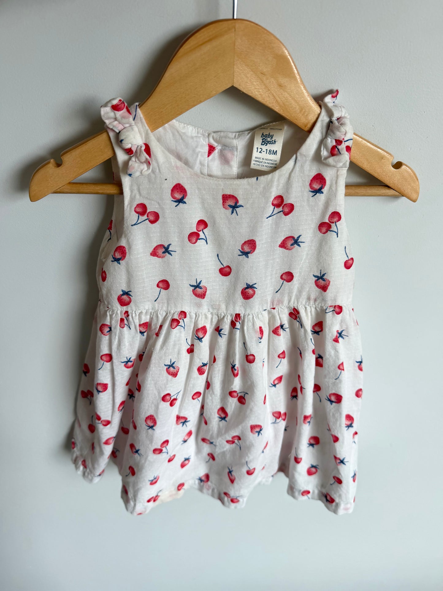 OshKosh Strawberry Dress / 12-18m