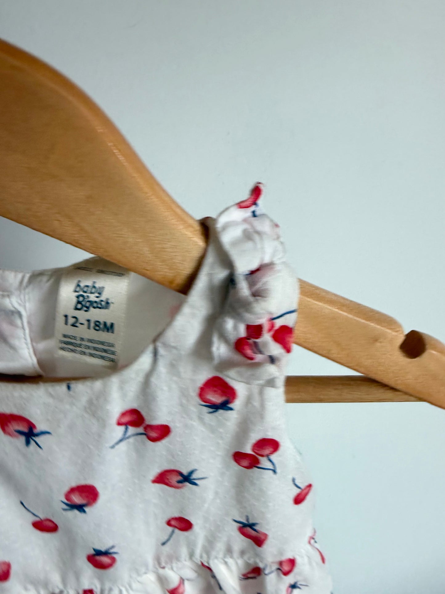 OshKosh Strawberry Dress / 12-18m