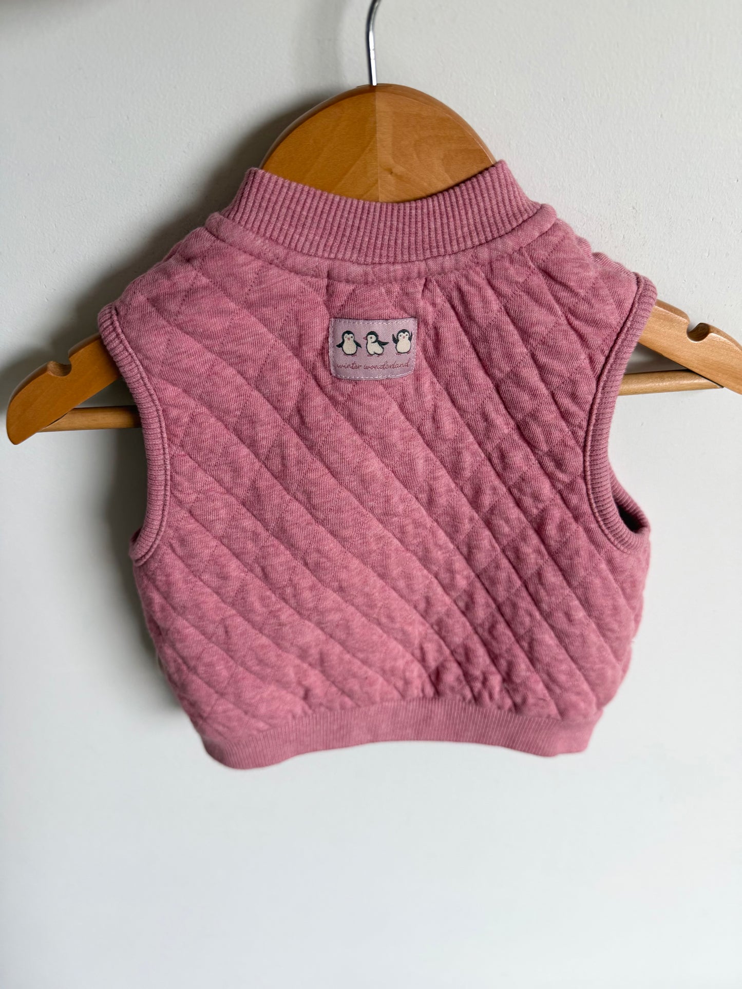 Organic Blush Quilted Vest / 3-6m